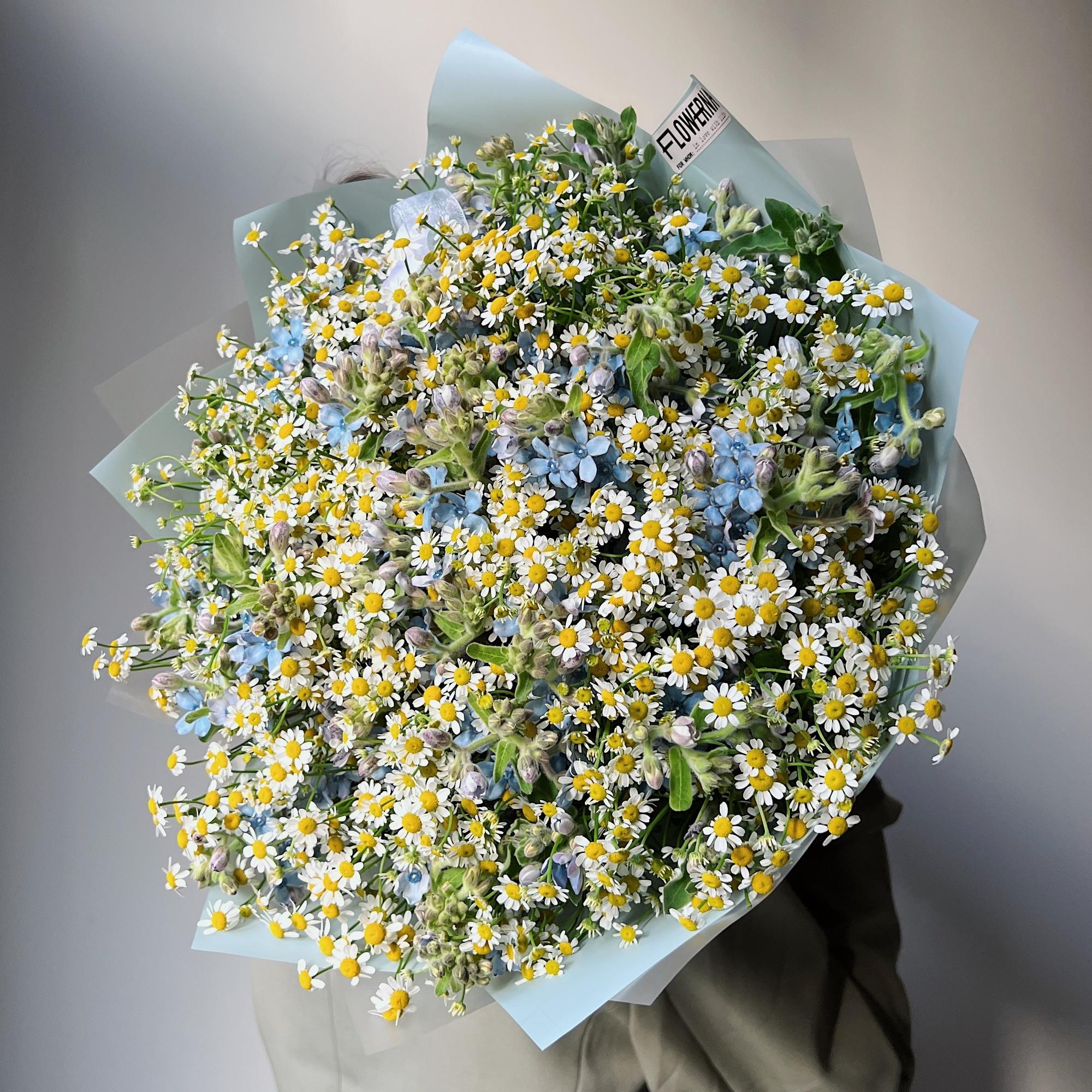 Дуо букет Ромашки & Оксипеталум