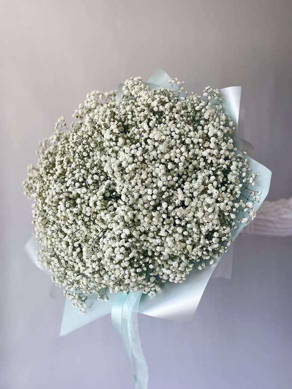 Гипсофила White