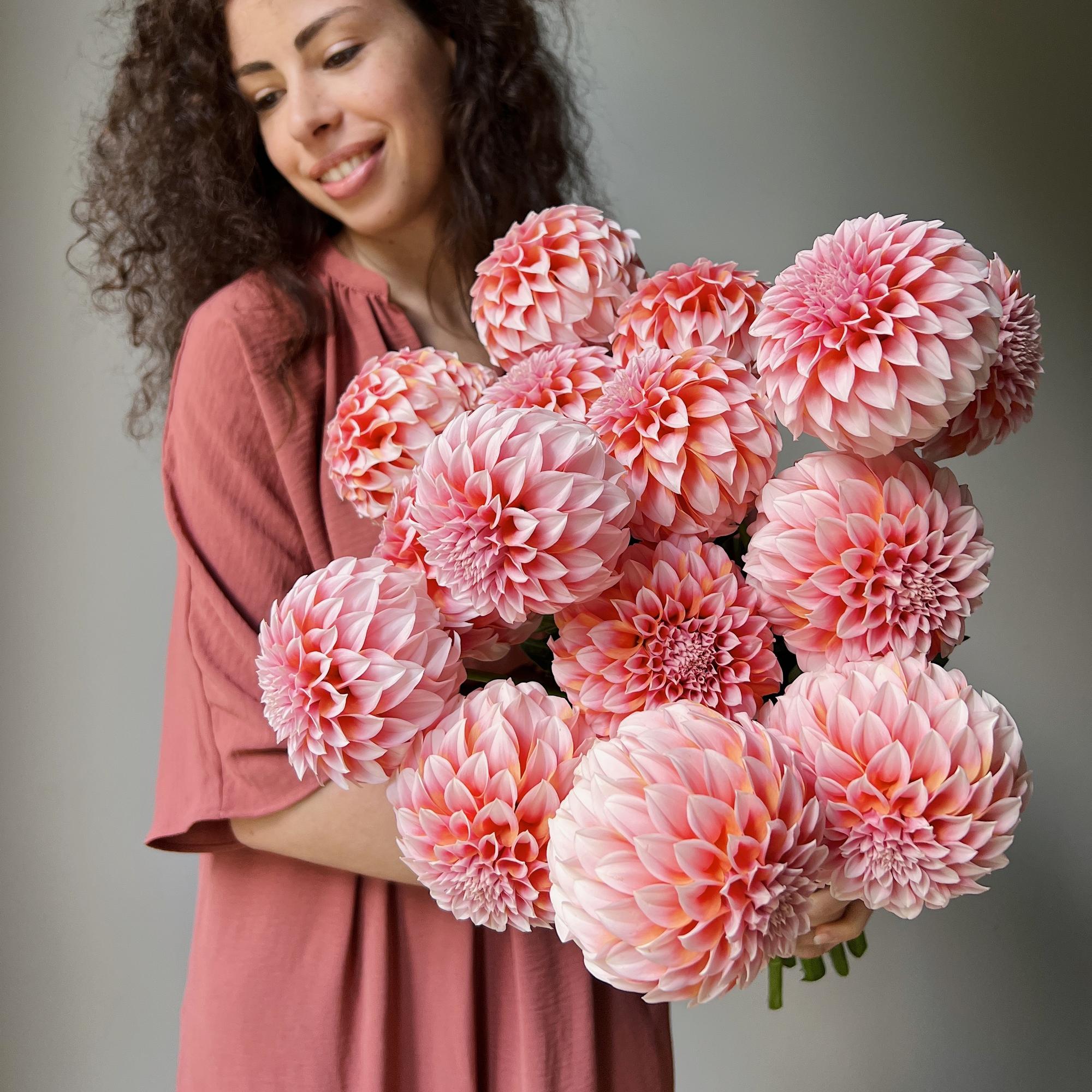 Георгины "Пичес"