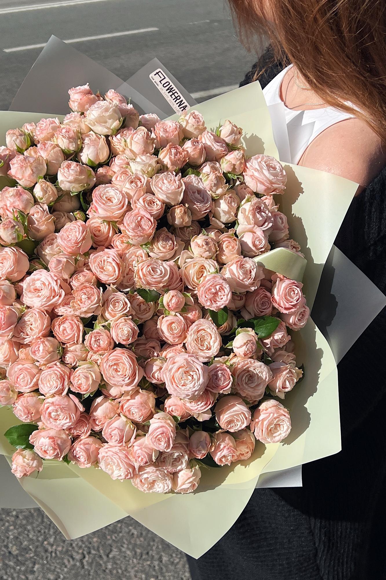 Кустовые пионовидные розы "Бомбастик"