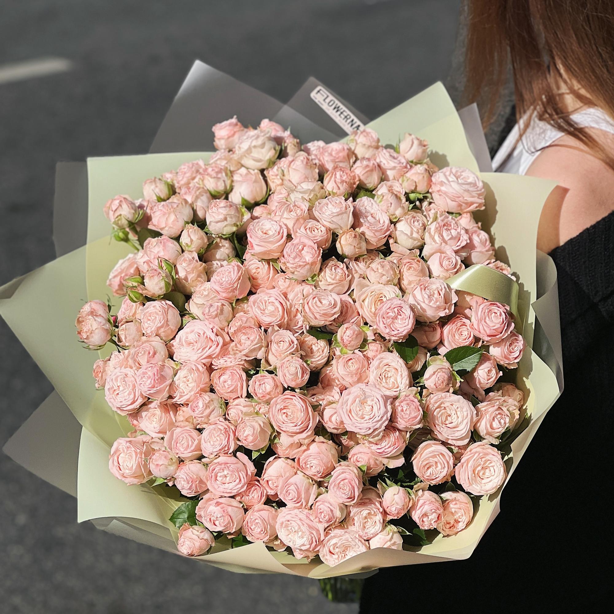 Кустовые пионовидные розы "Бомбастик"