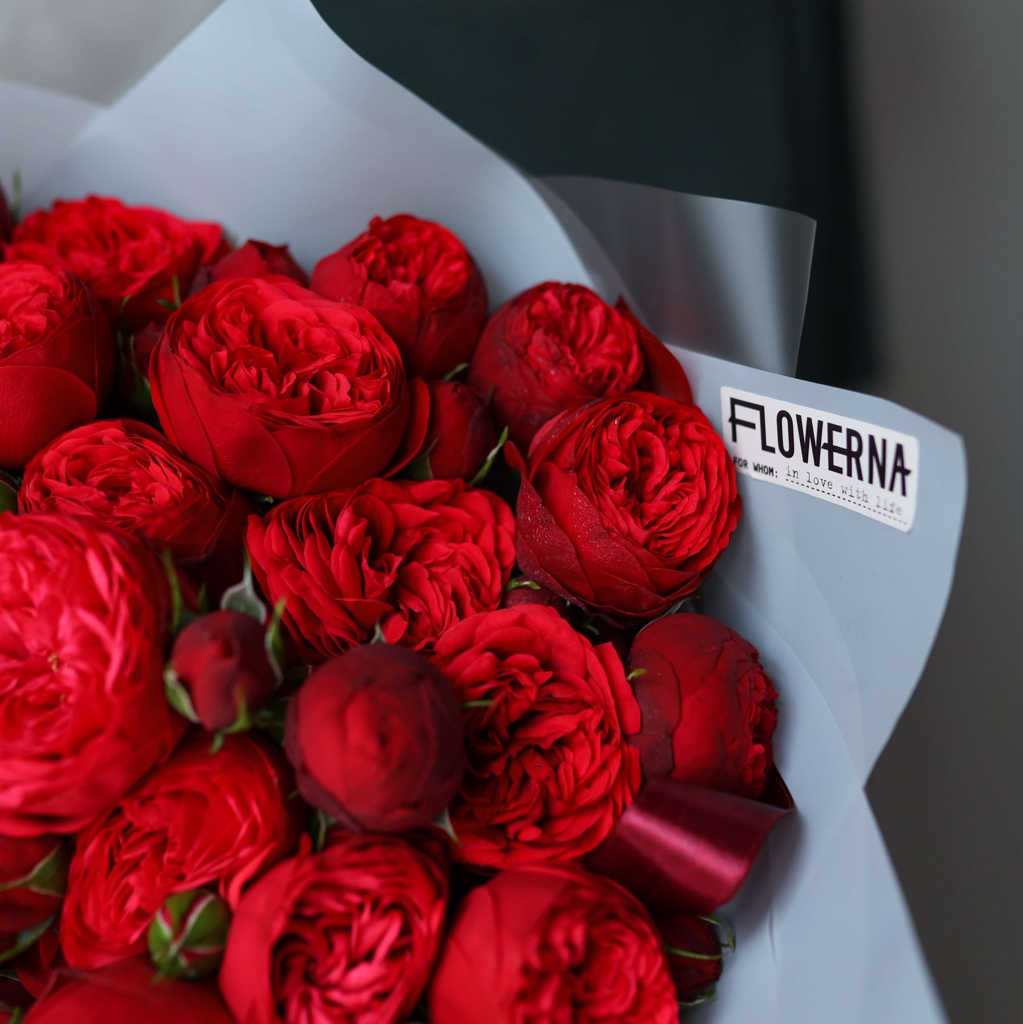 Пионовидные розы "Ред Пиано"