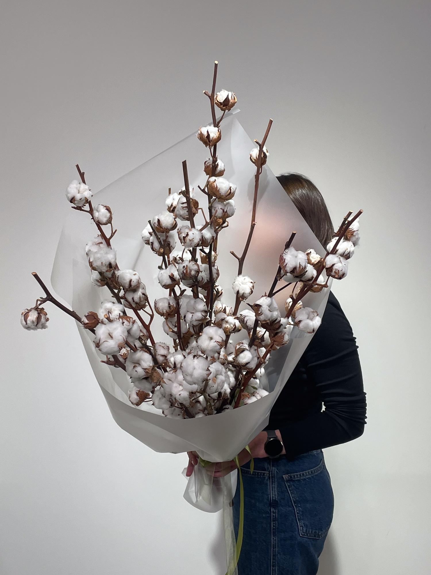 Веточки хлопка