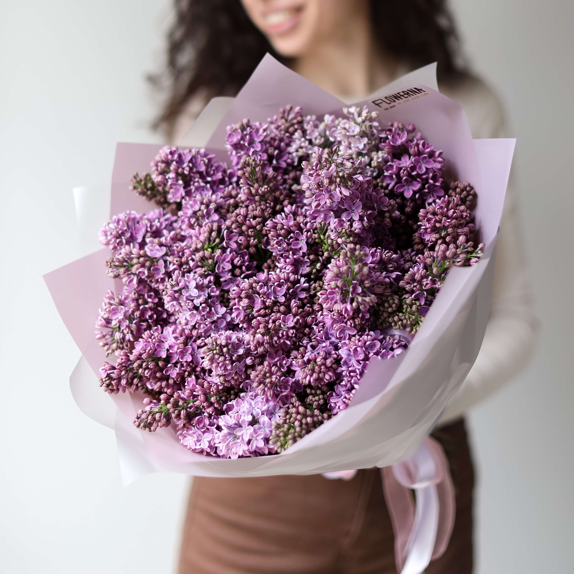 Сирень голландская сиреневая