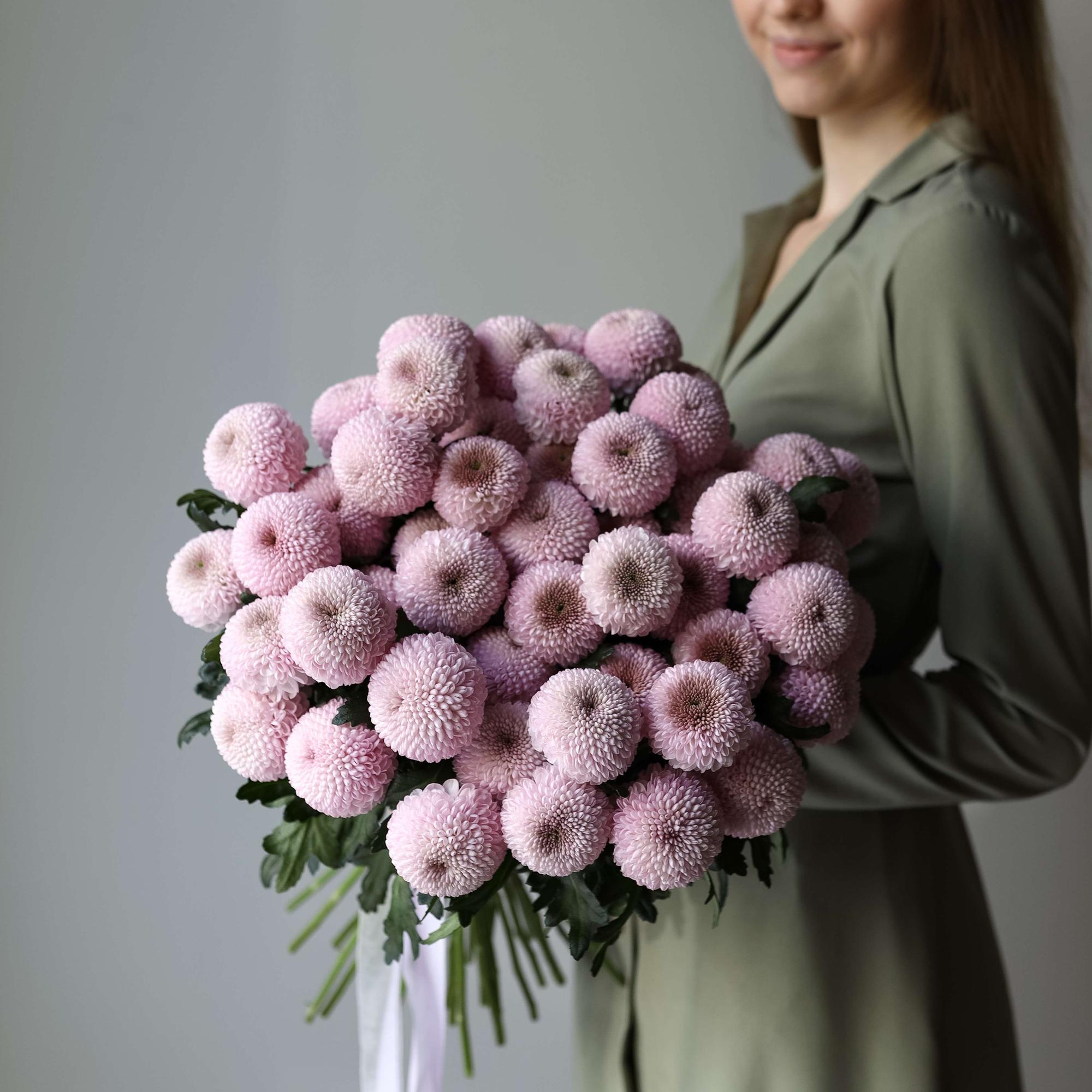 Хризантемы "Момоко"