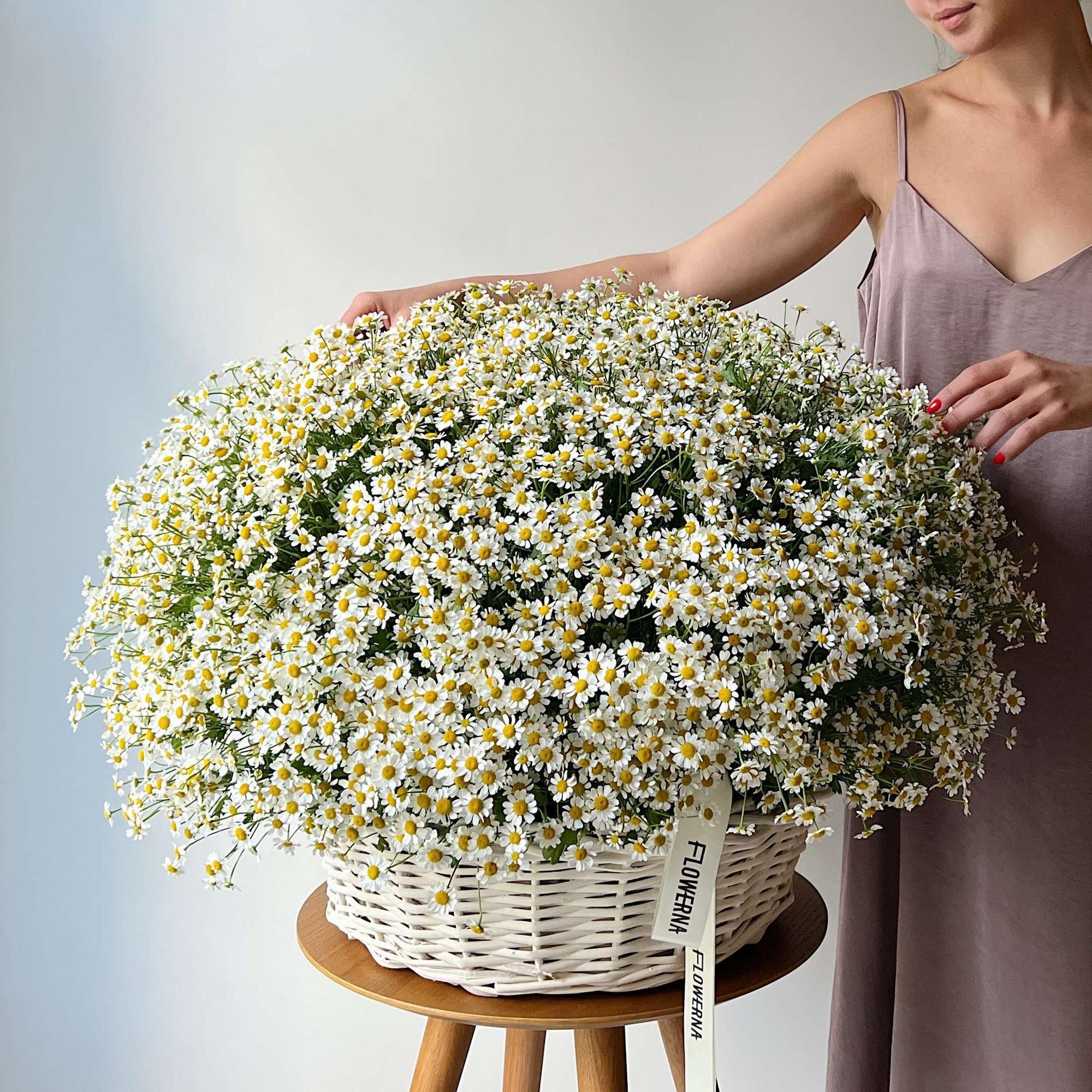 Корзина ромашек