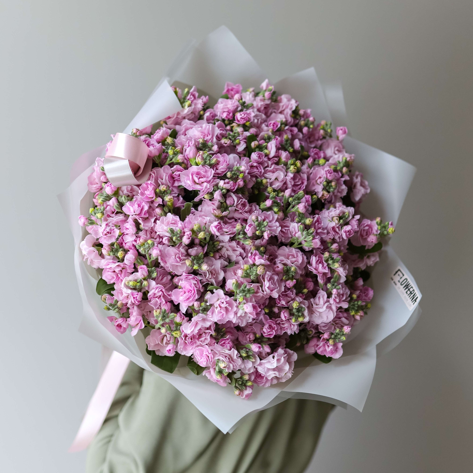 Розовая кустовая маттиола