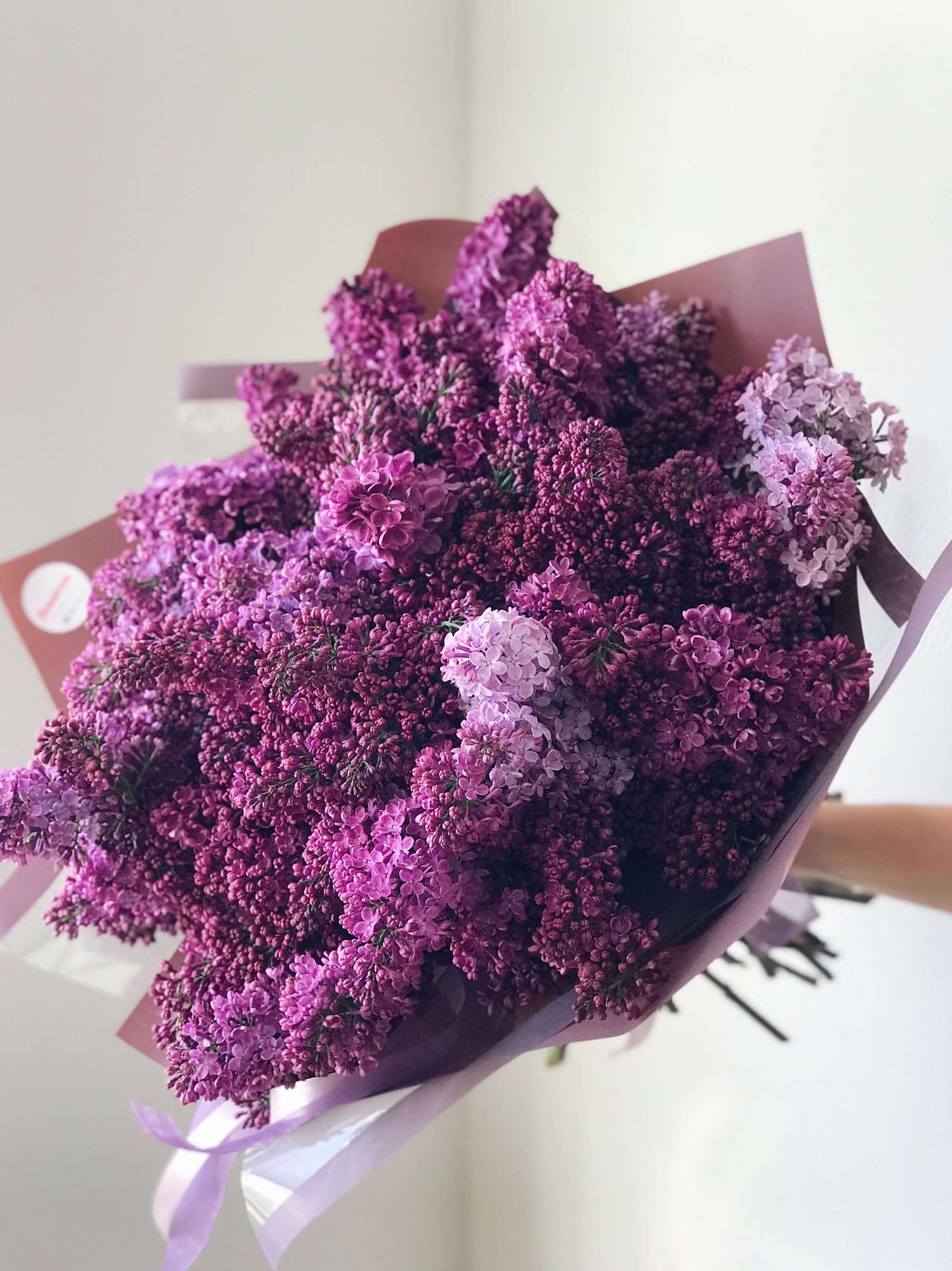 Ароматная сирень