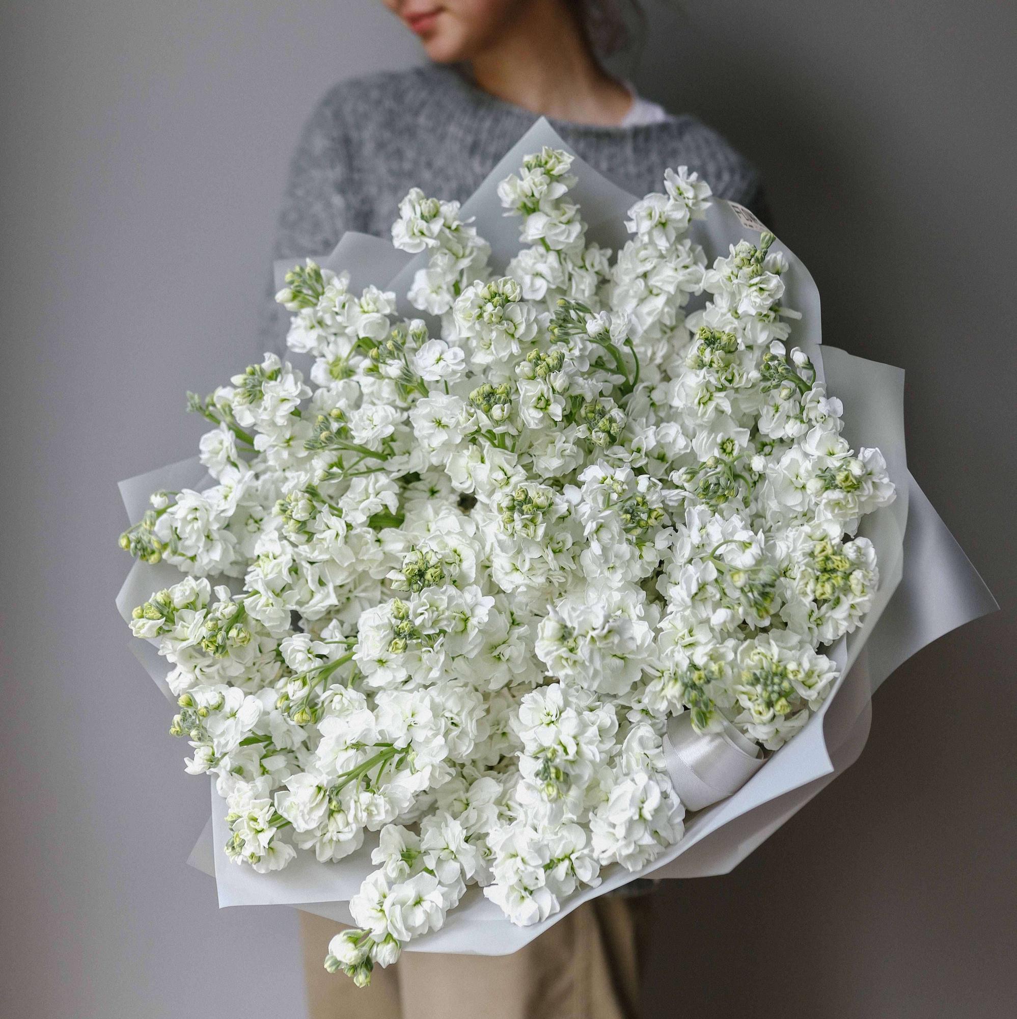 Белая маттиола