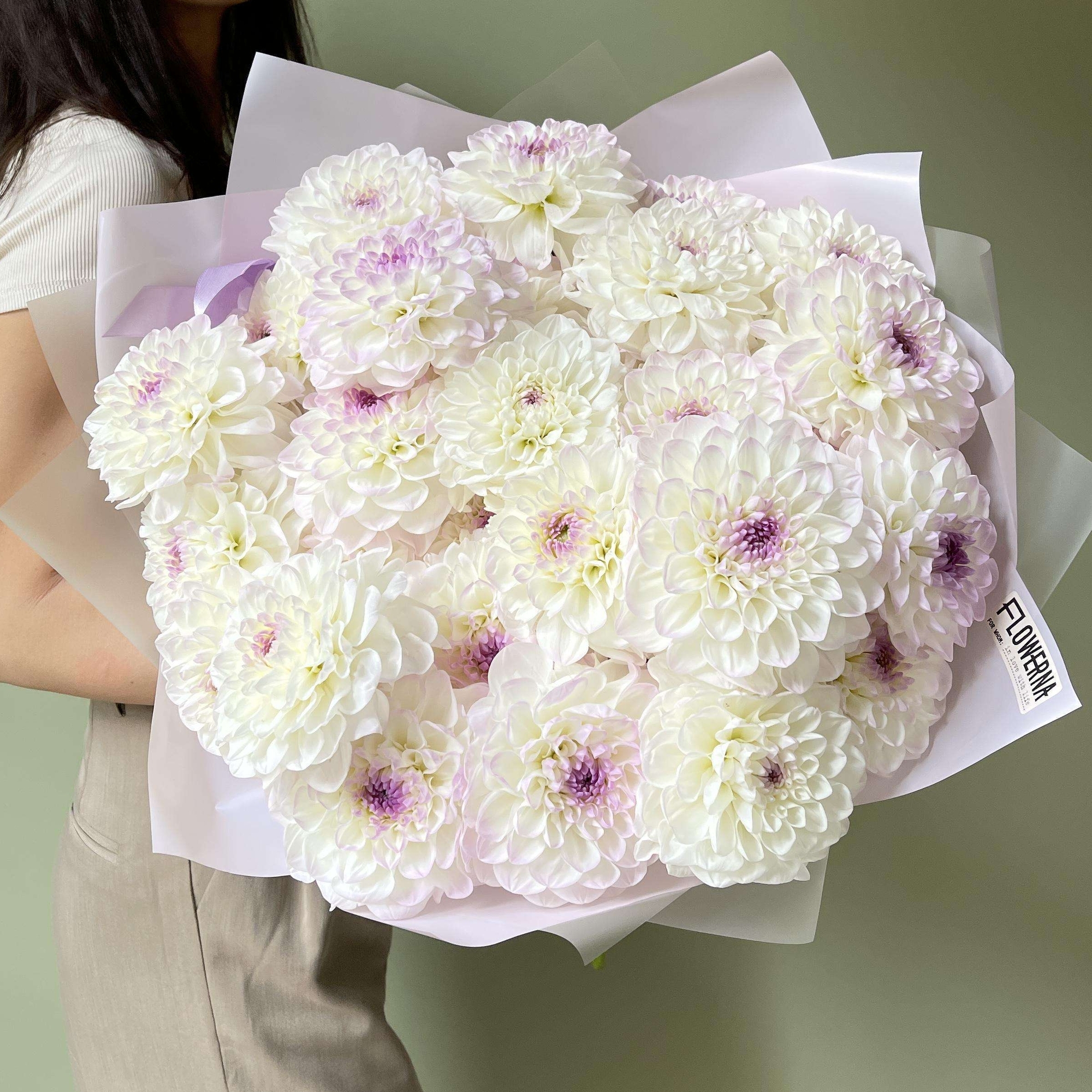 Георгины "Эвелин"