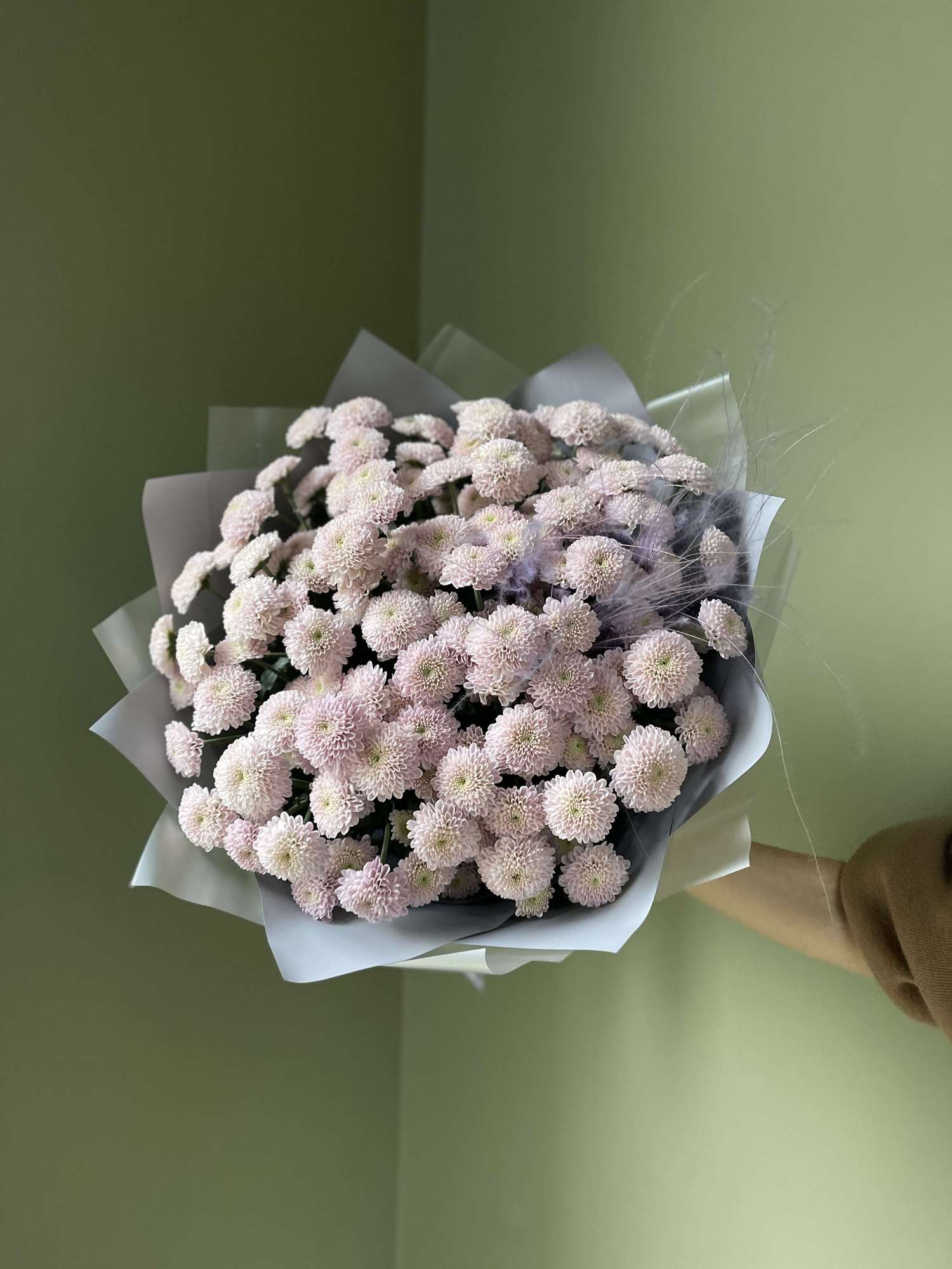 Хризантемы "Элисон Свит" со стифой