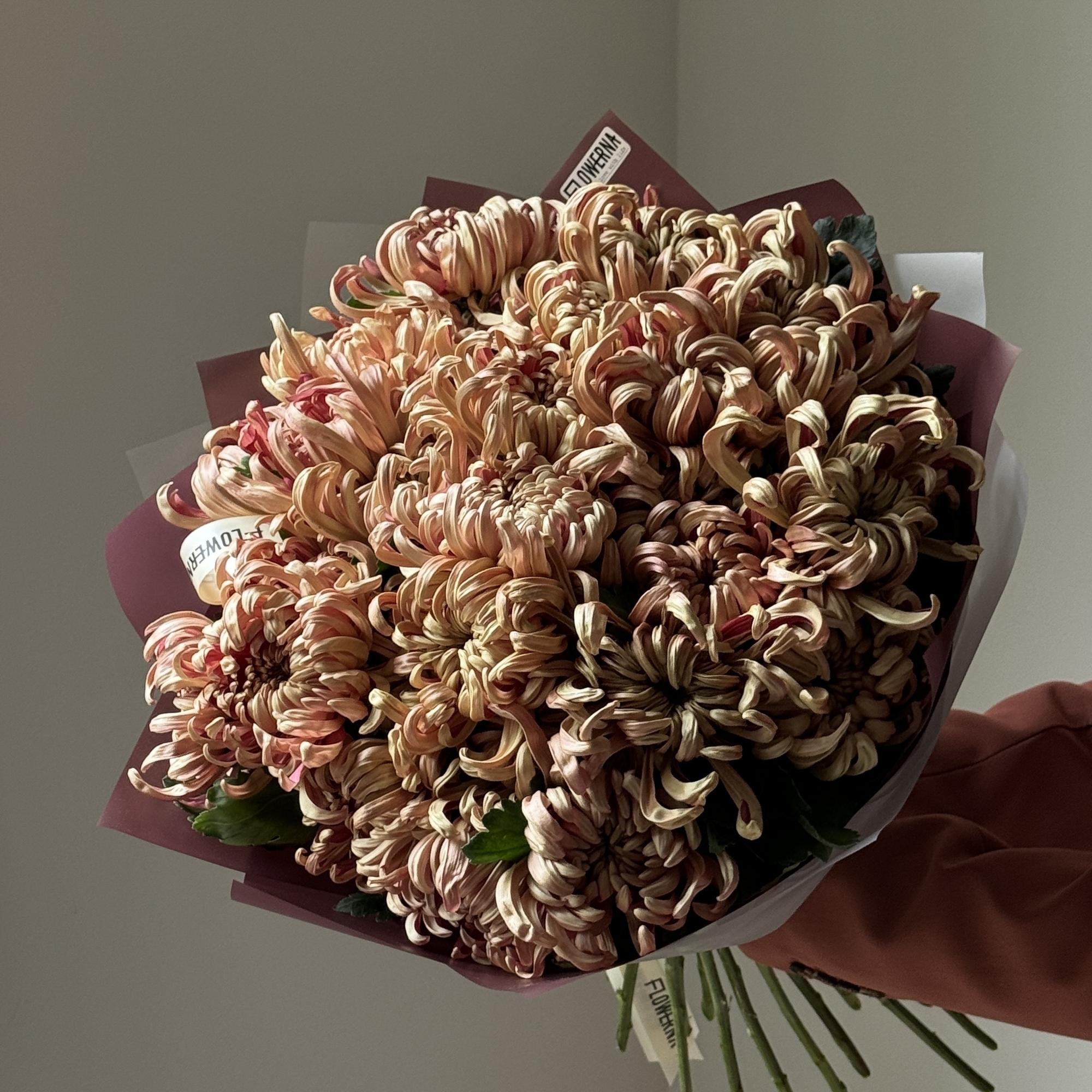 Хризантема "Виена"