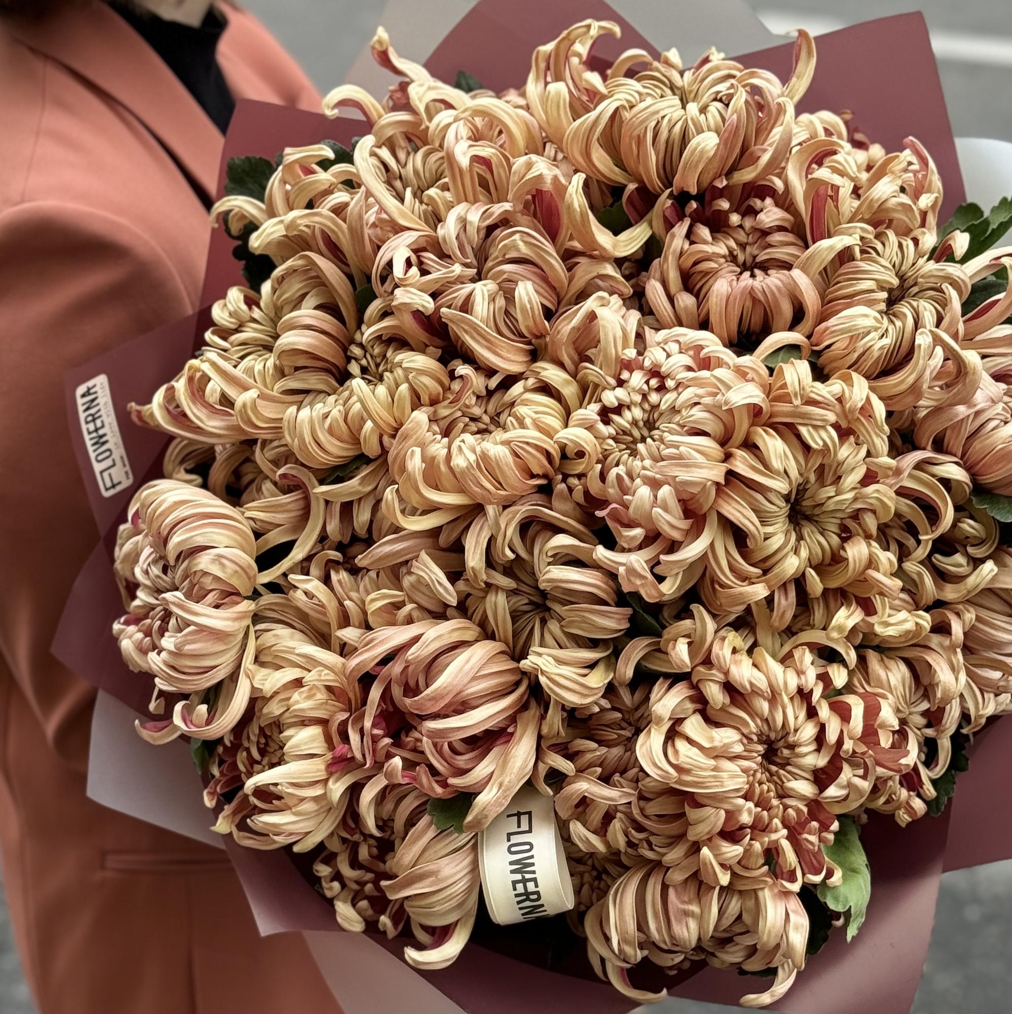 Хризантема "Виена"