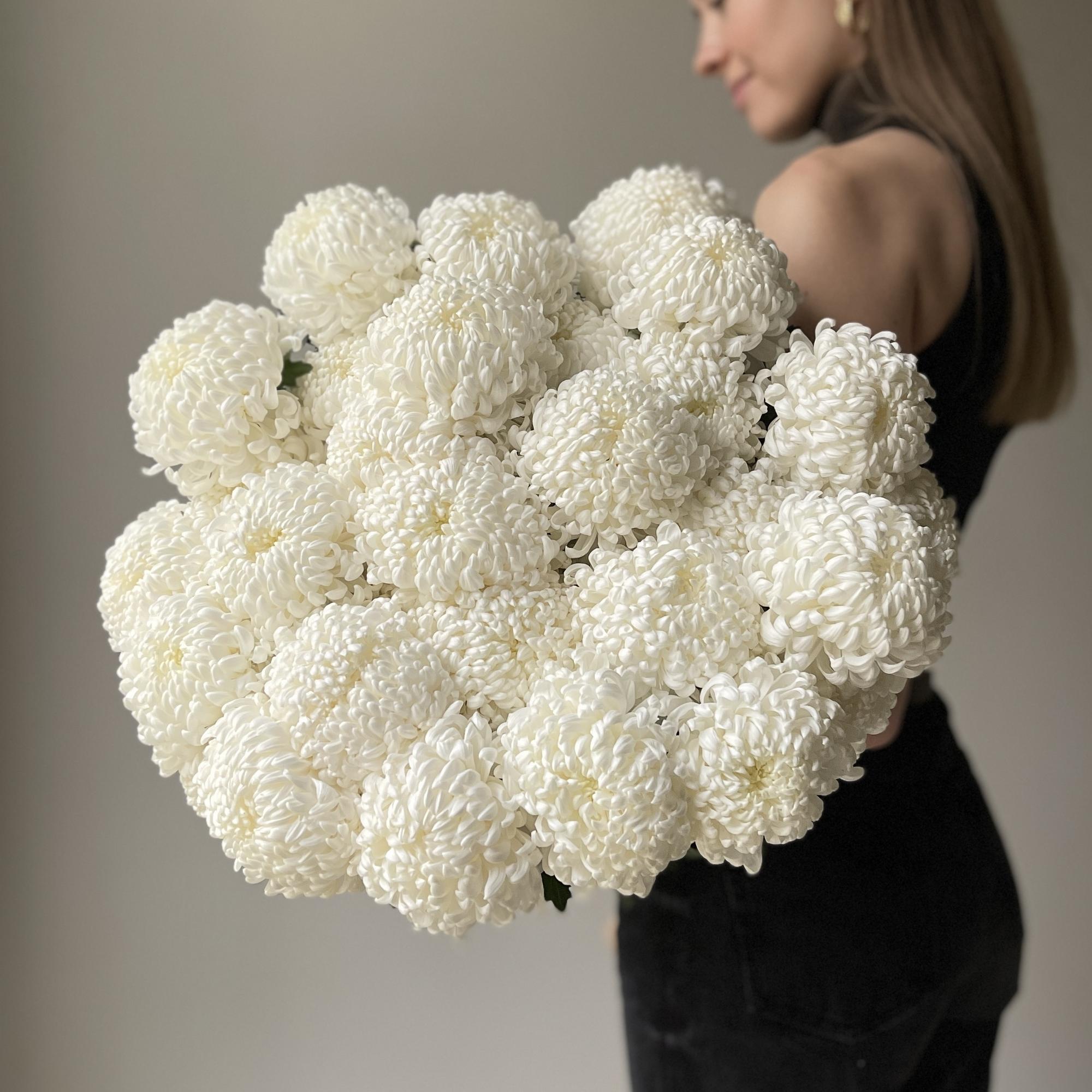 Хризантемы Айсберг