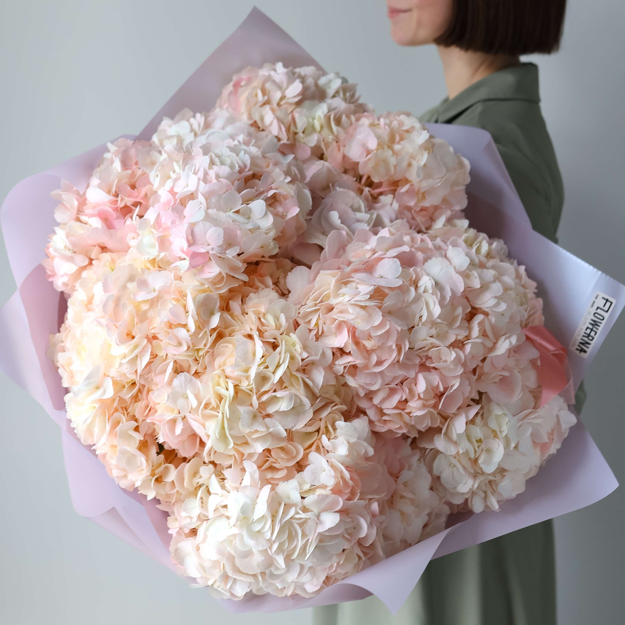 Гортензия "Кремово-розовая" колумбийская