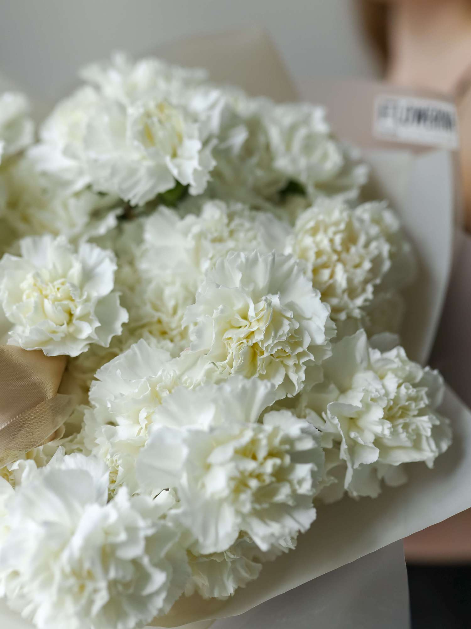 Диантусы "Эверест"