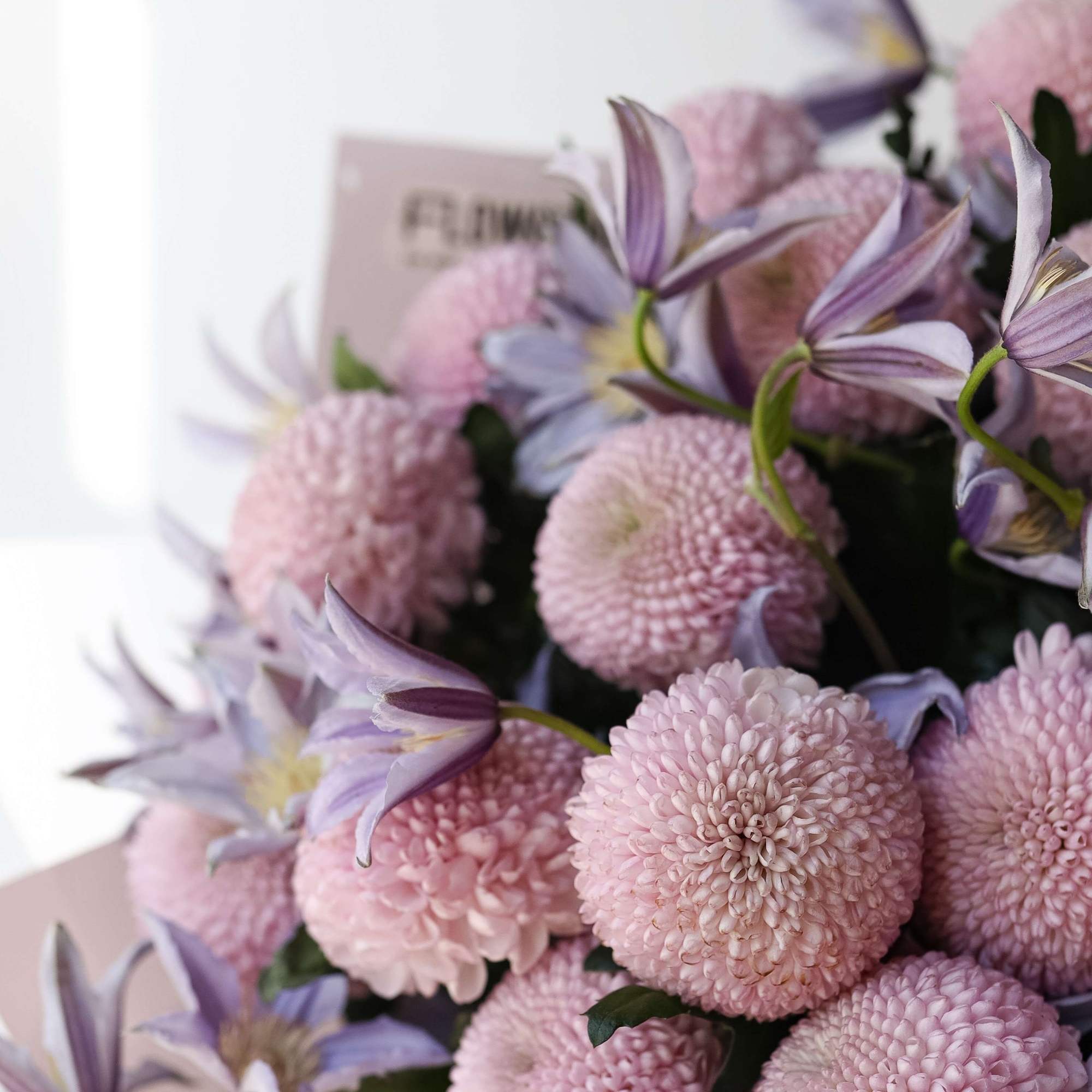 Дуо "Момоко&Клематис"