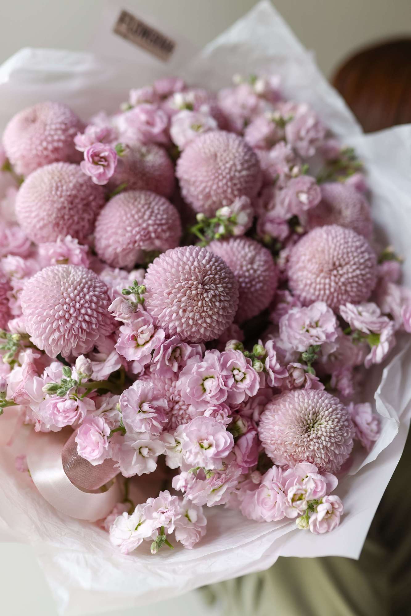 Дуо "Момоко&Маттиола"