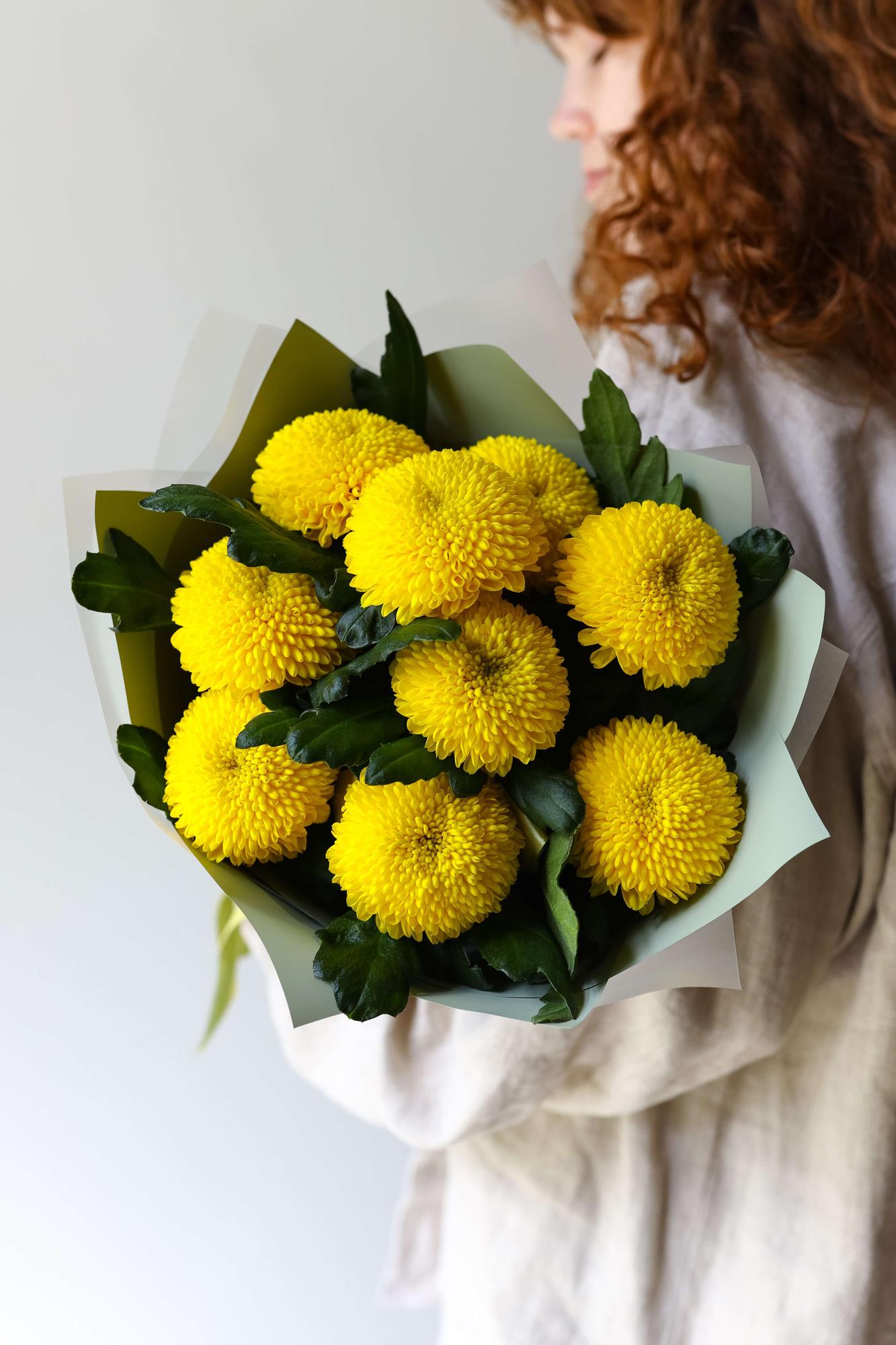 Хризантемы "Борг"