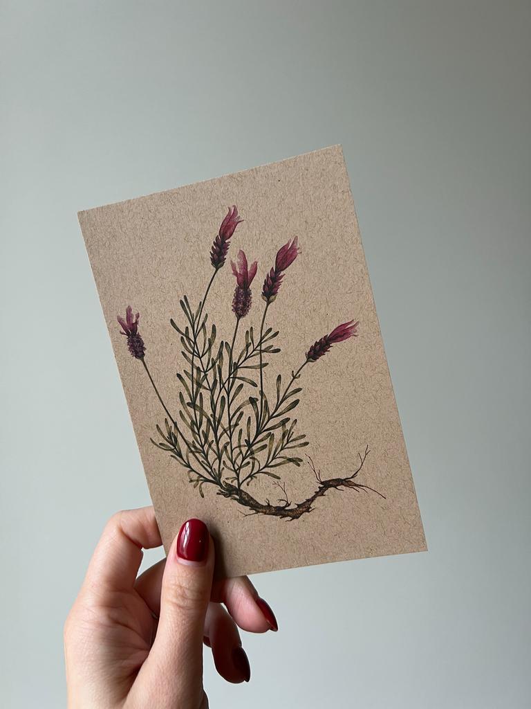 Открытка "Ботаническая иллюстрация"