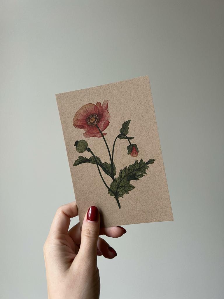 Открытка "Ботаническая иллюстрация"