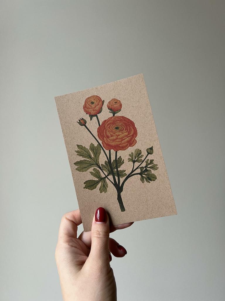 Открытка "Ботаническая иллюстрация"