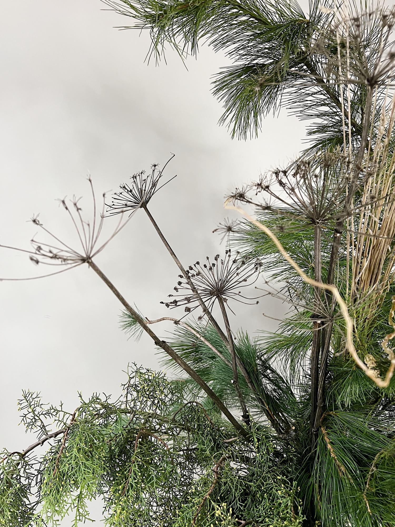 Букет "Хвойный #1"