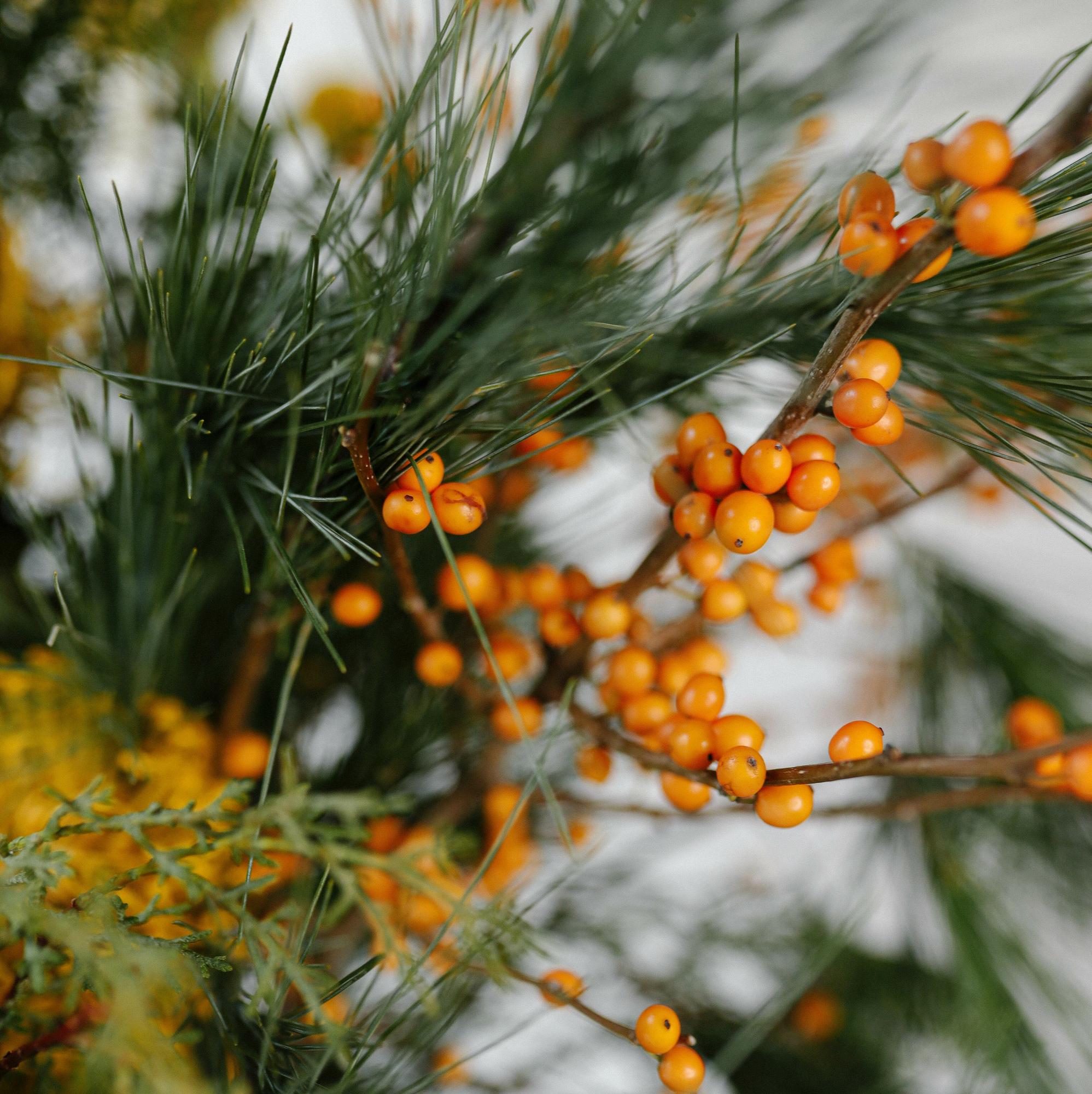 Букет "Добавь яркости"