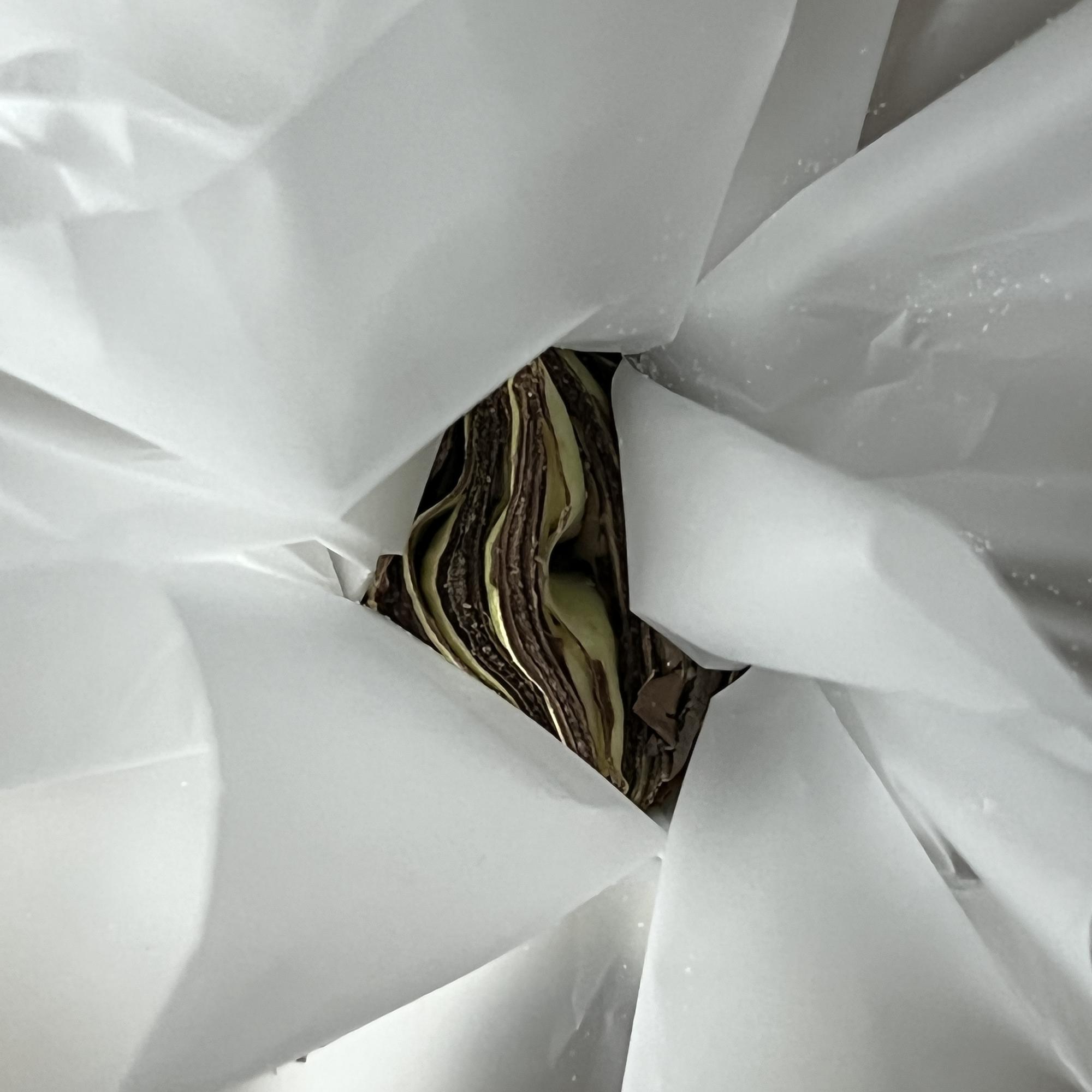 Луковица амариллиса в воске