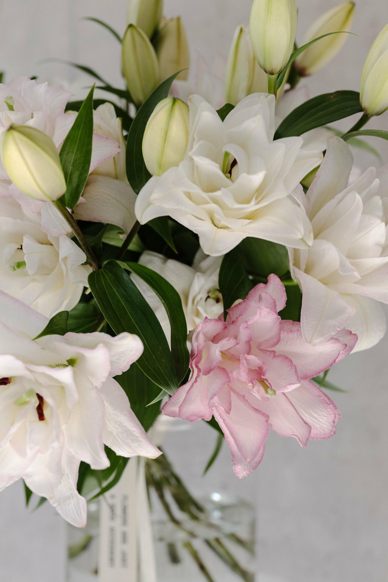 Лилии «Аннушка»