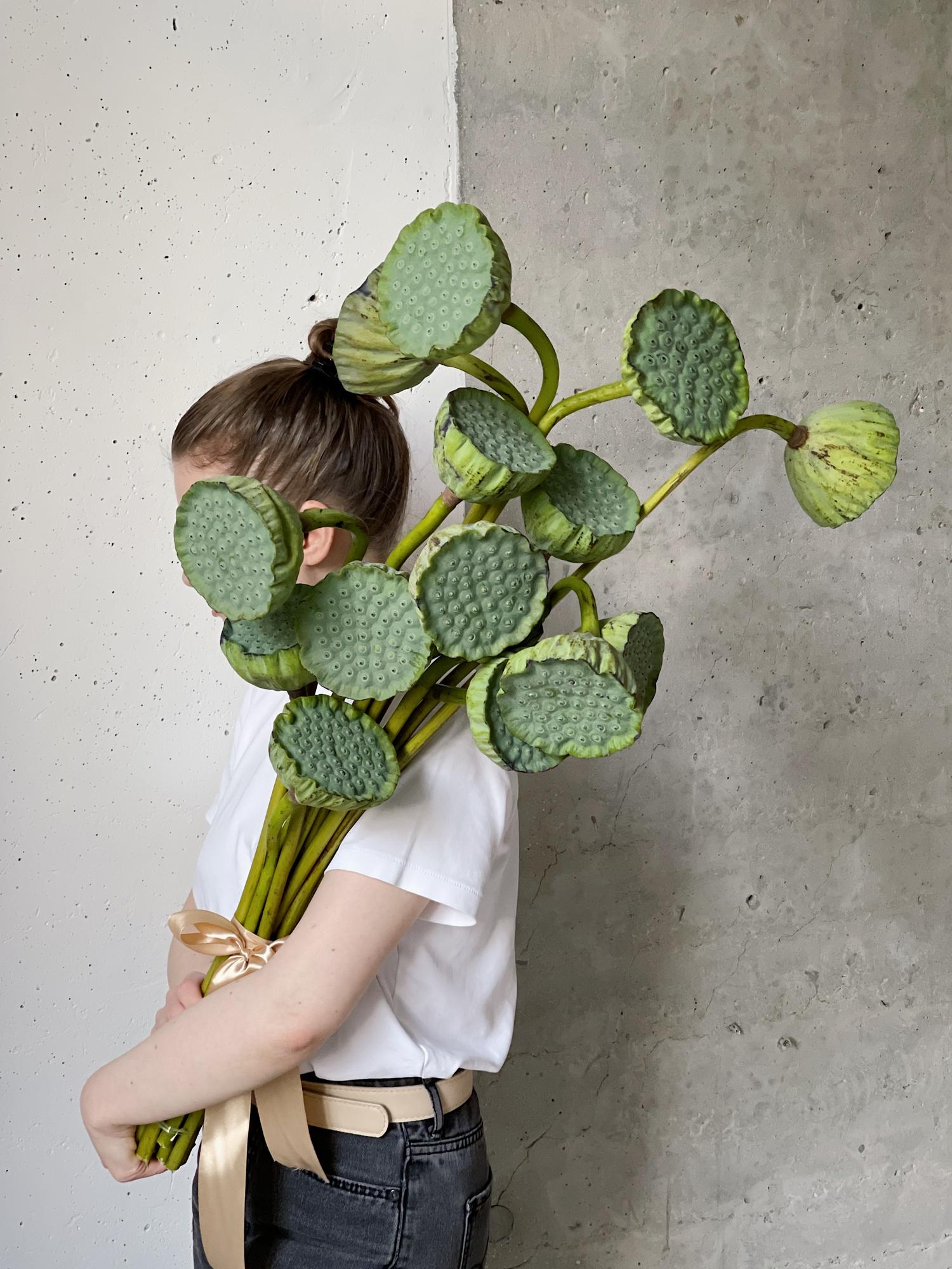 Моно букет из лотосов