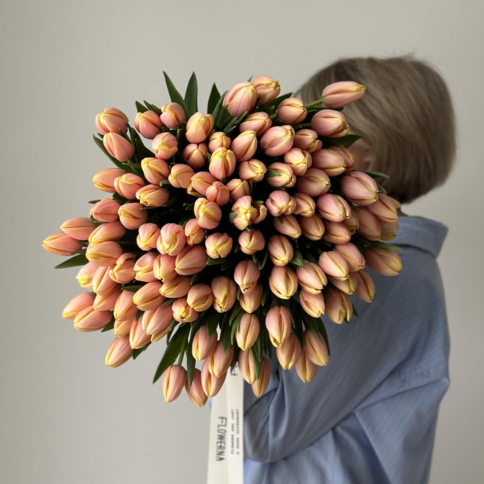 Тюльпаны "Манго Шарм"