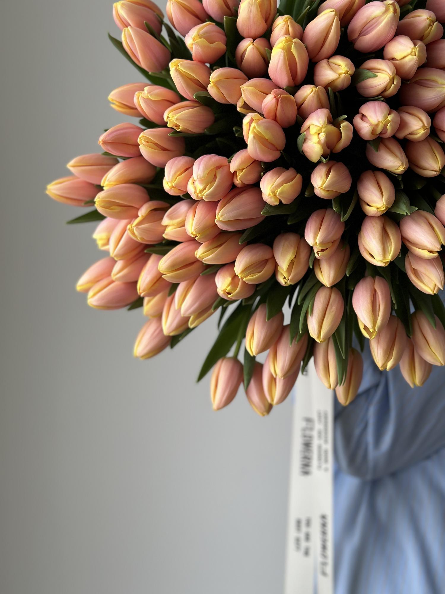 Тюльпаны "Манго Шарм"