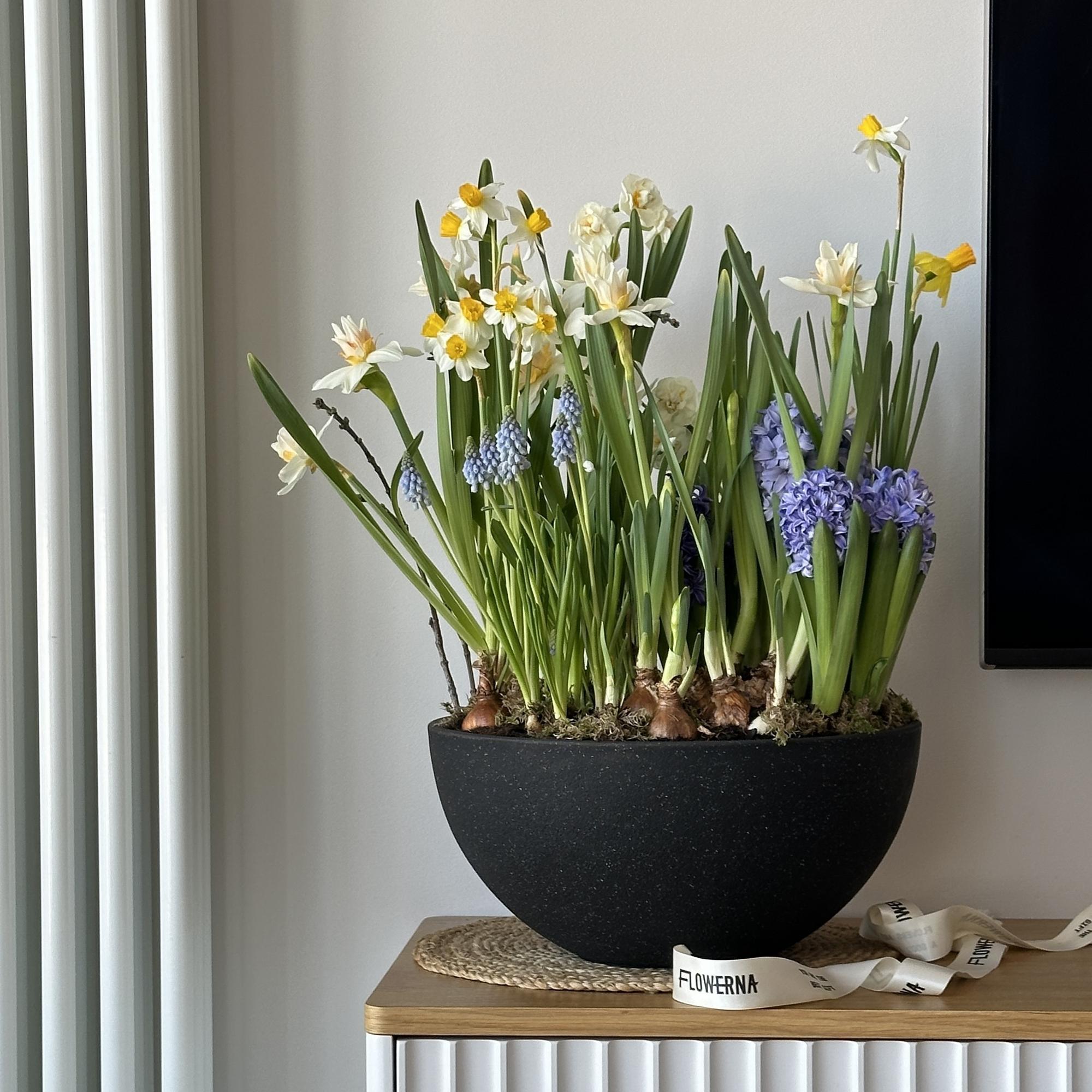 Боул с миксом первоцветов