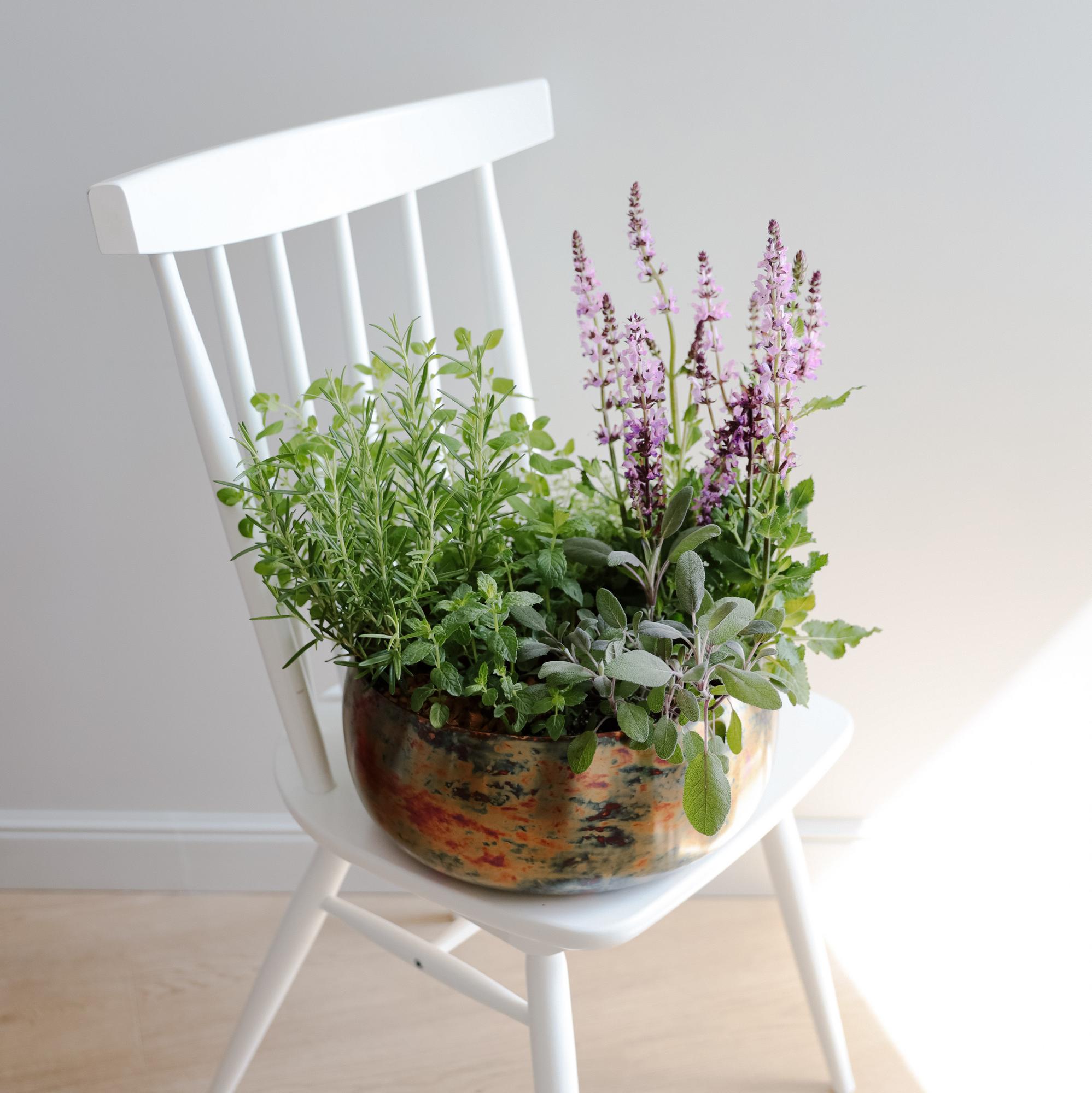 Микс трав в медном боуле L