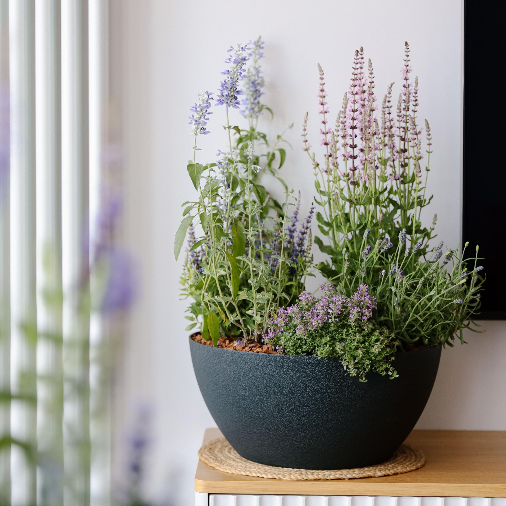 Микс трав в черном боуле L