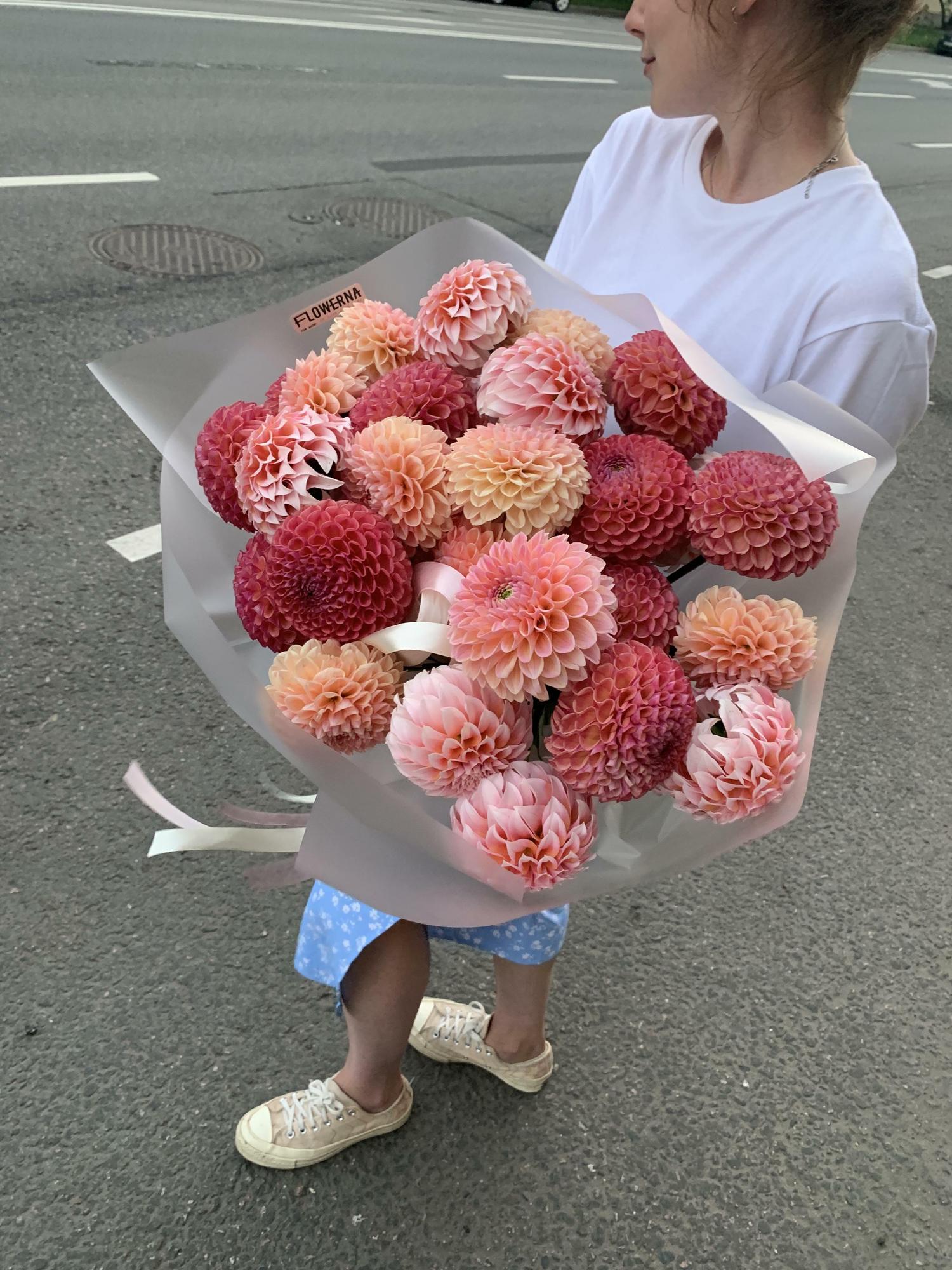 Георгины микс "Винни, Пичес, Линдас Бэби"