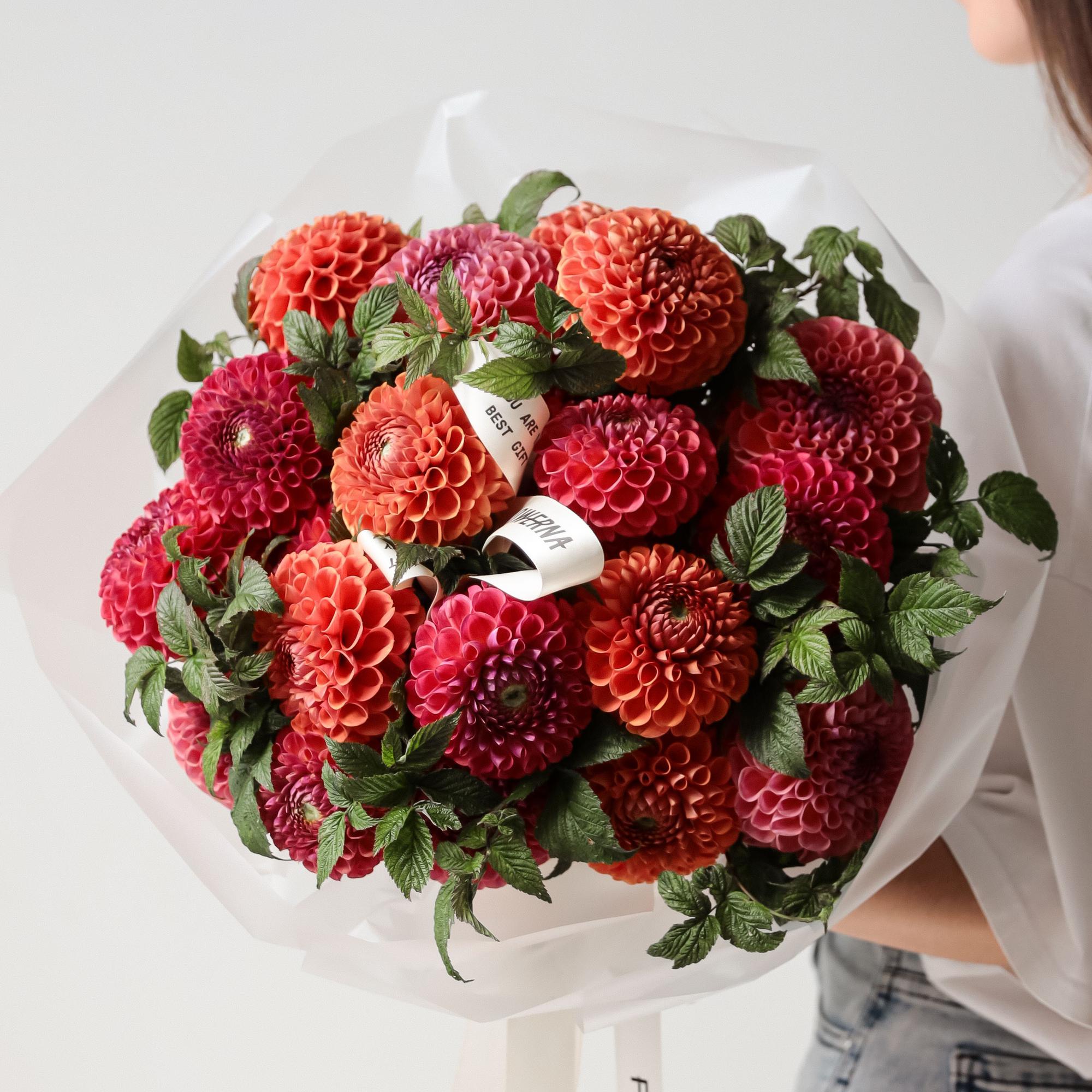 Микс георгин с малиной