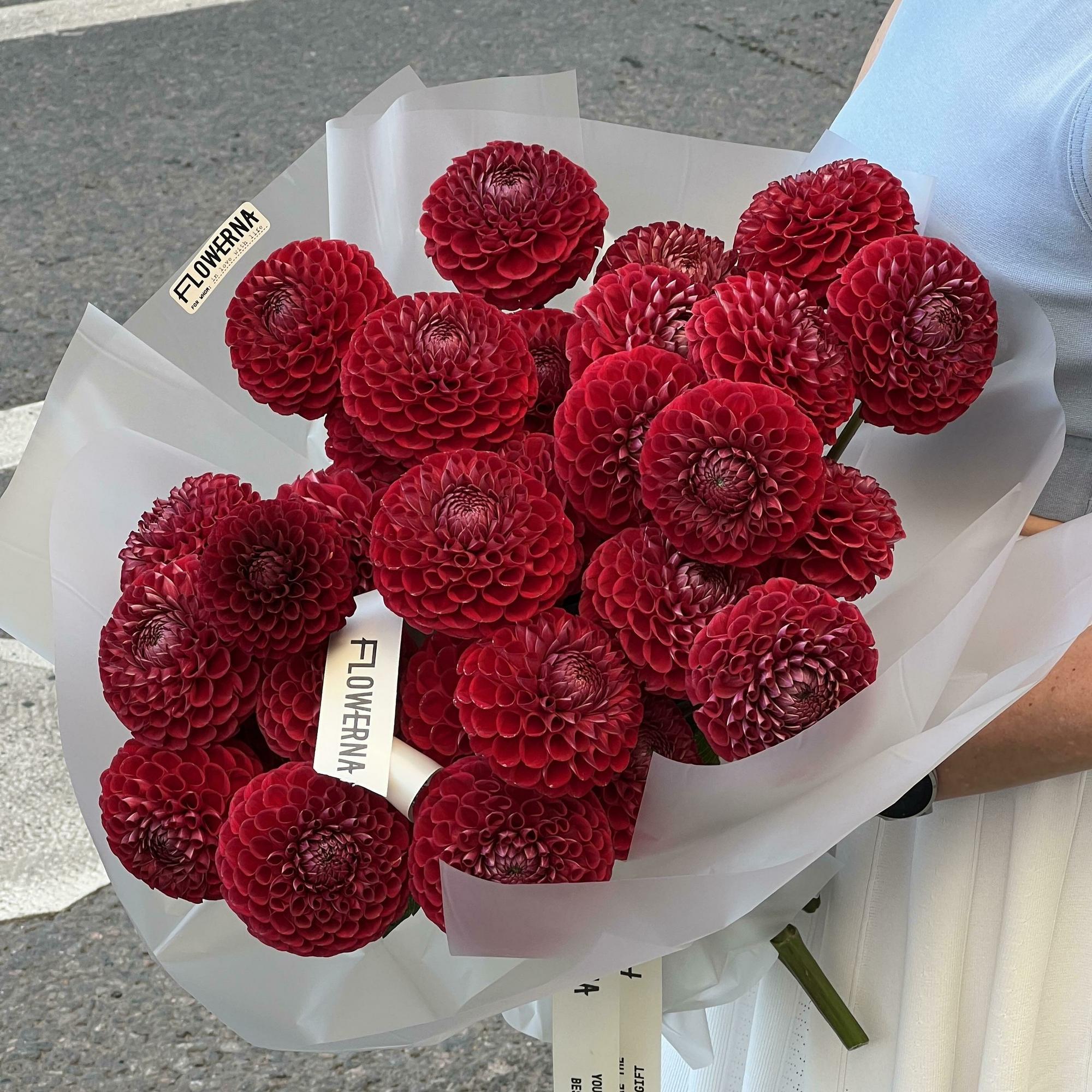 Георгины "Корнел Ред"