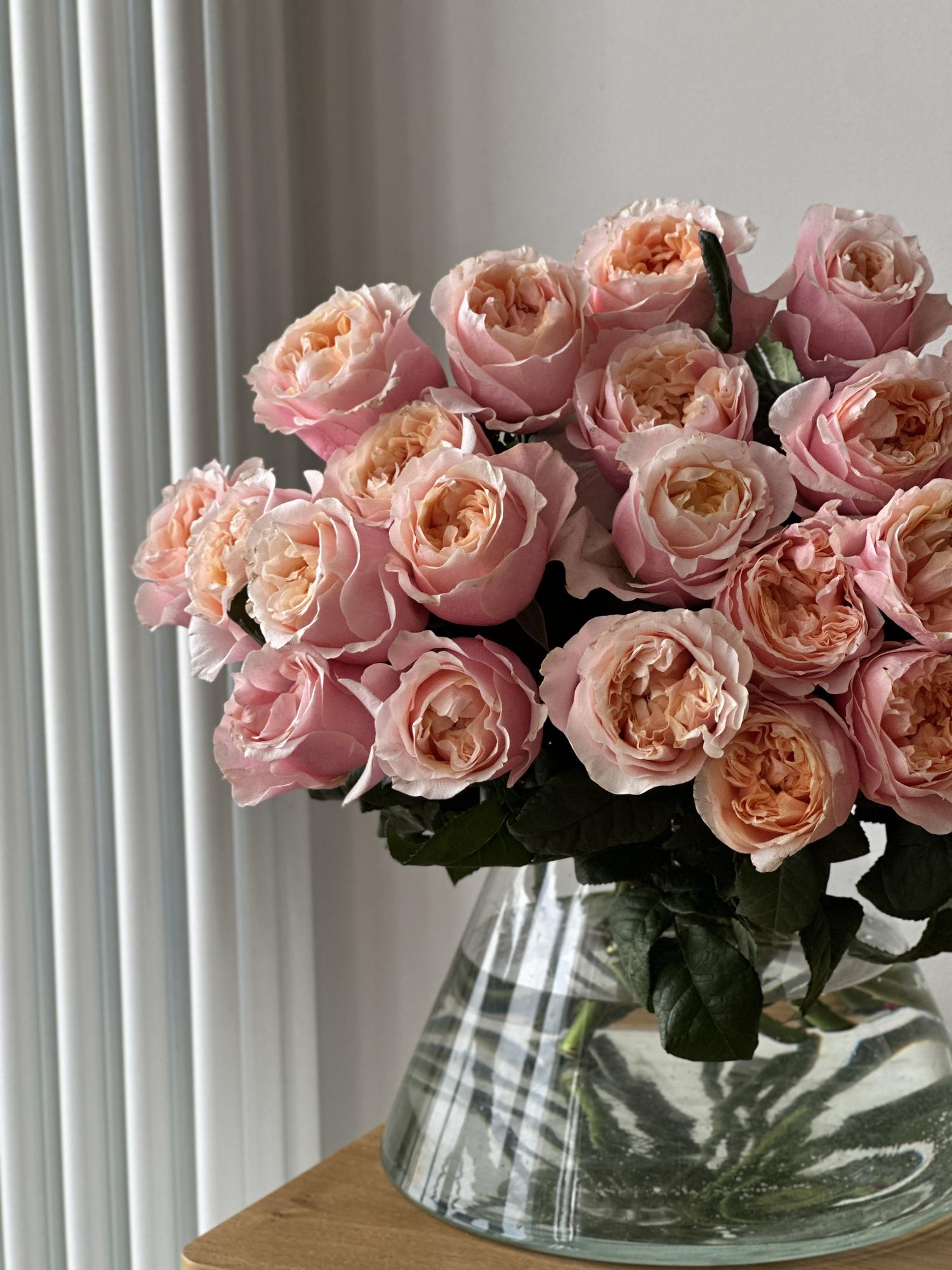 Пионовидные розы "Ноттинг Хилл"