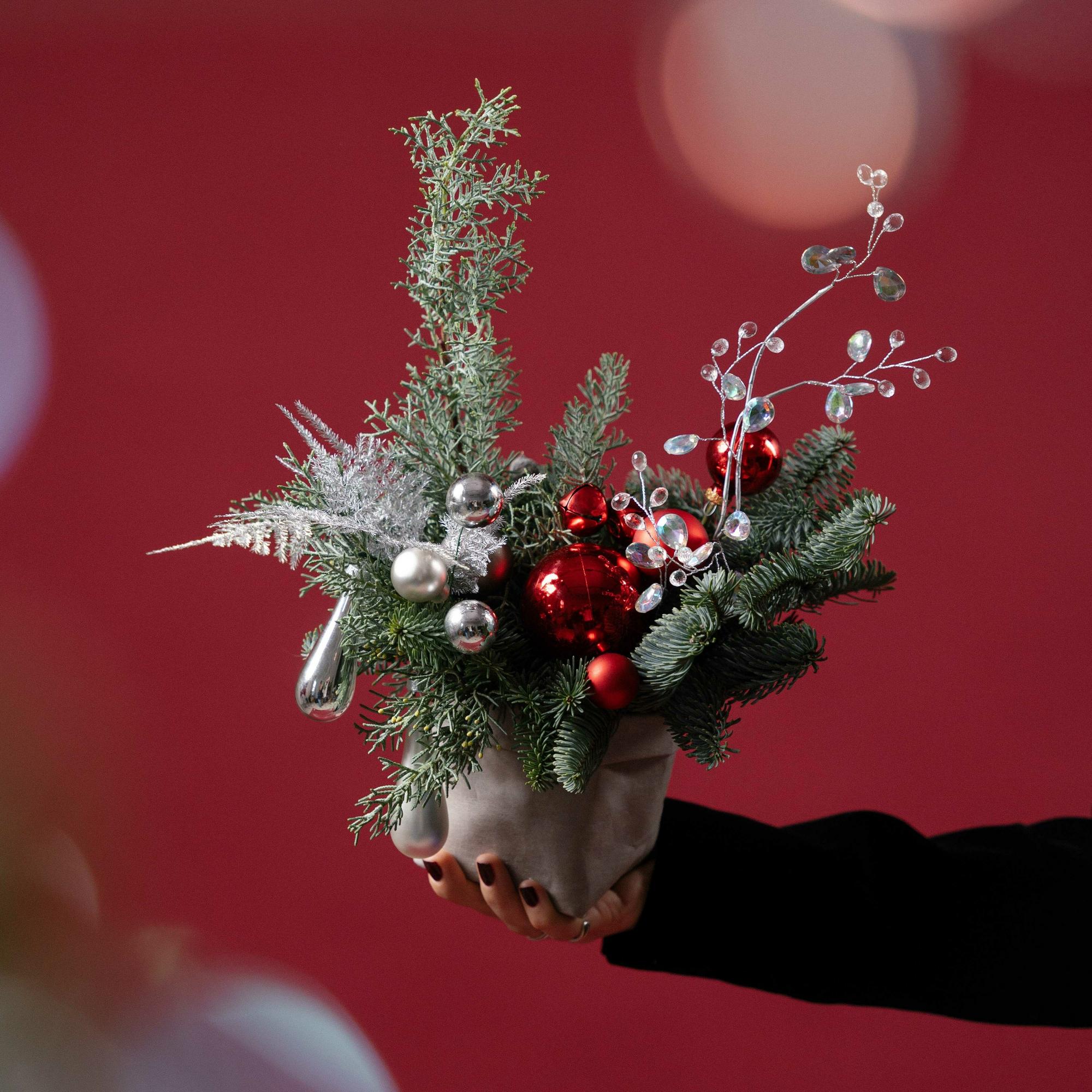 Набор новогодних композиций в мешке "Изморозь" XS