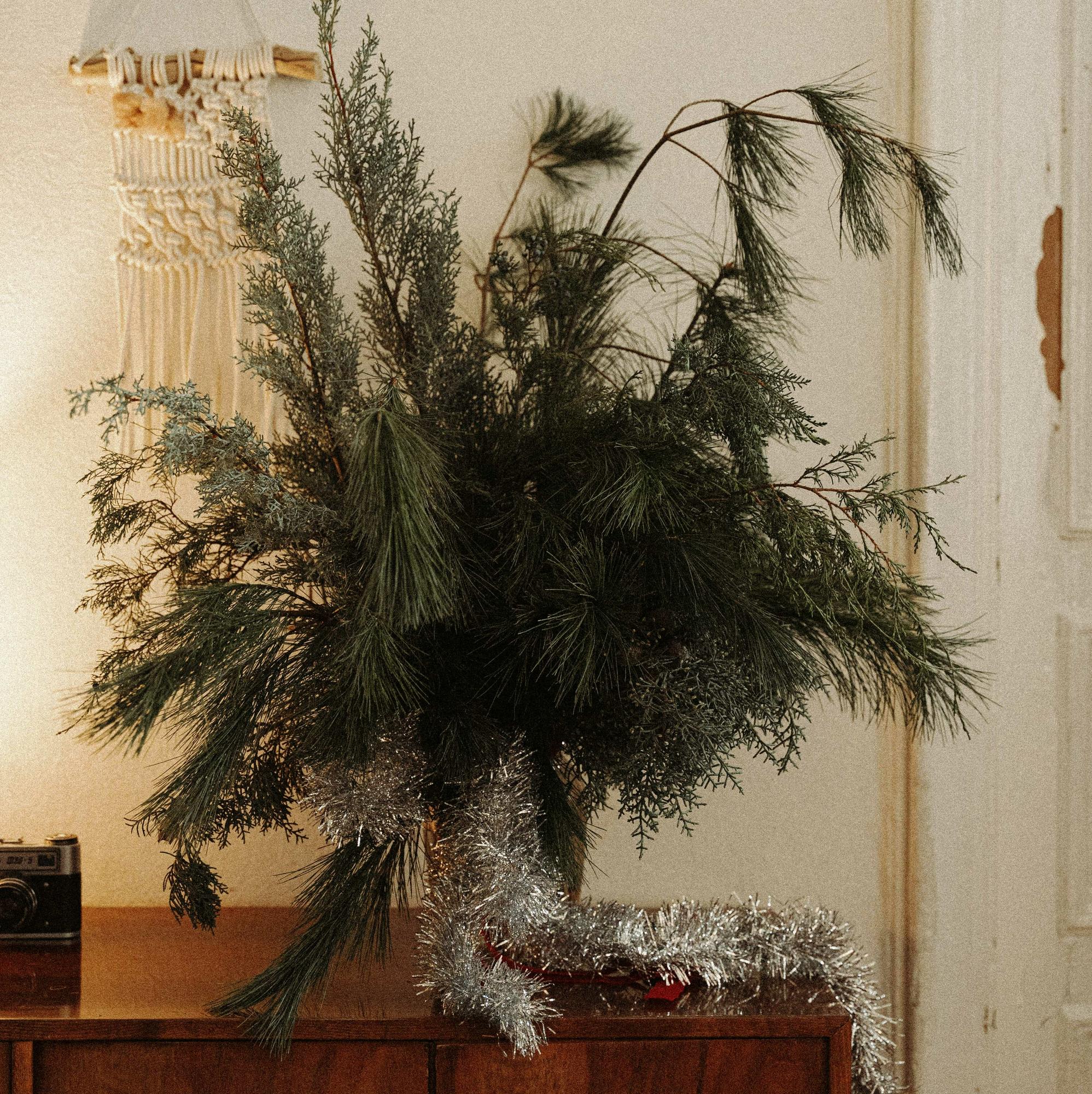 Букет "Хвойный"