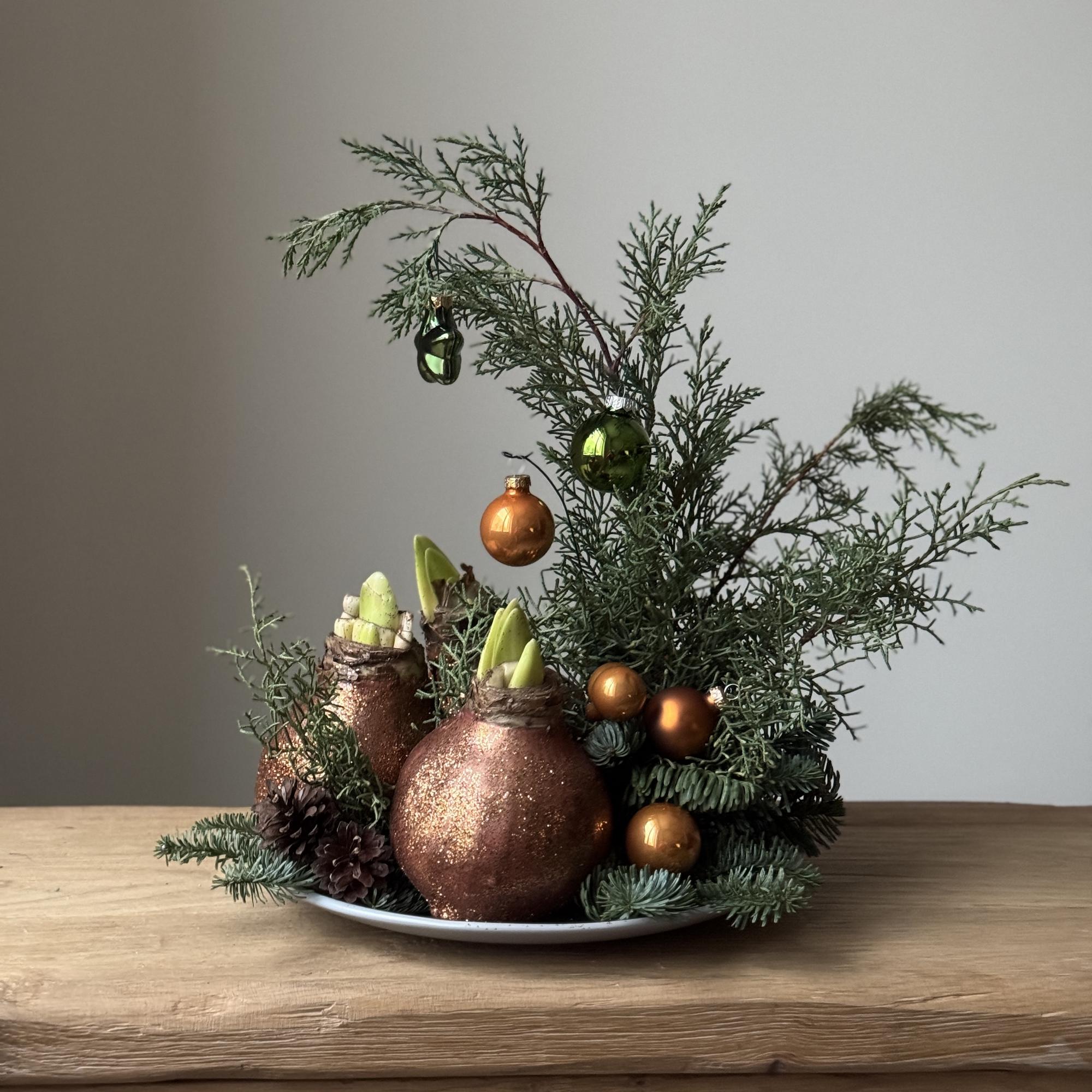 Набор из луковиц амариллиса в медной гамме