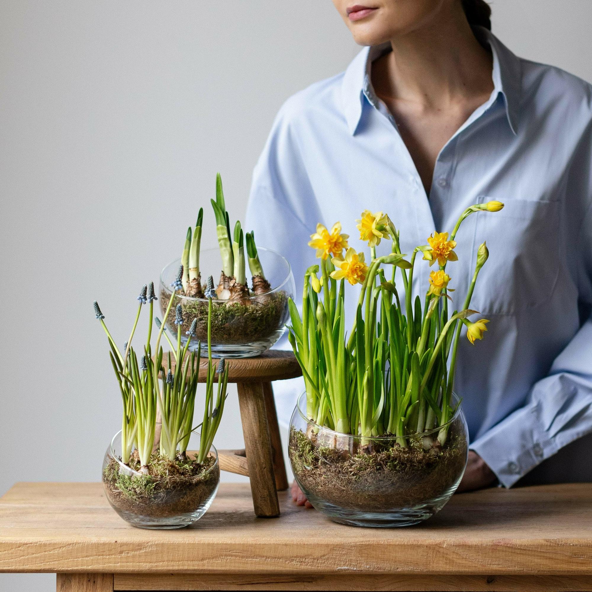 Сет с первоцветами #1