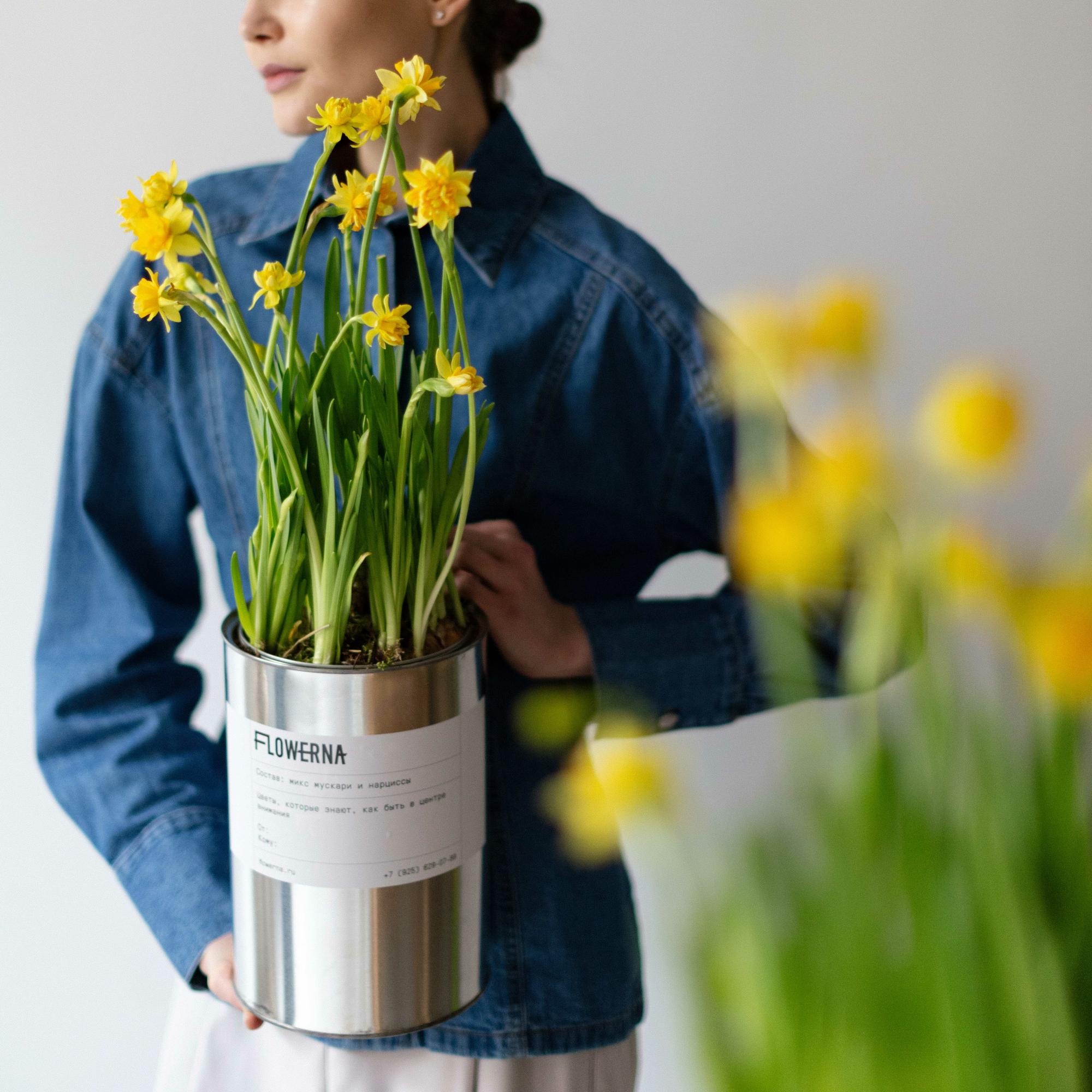 Ведёрко с нарциссами M