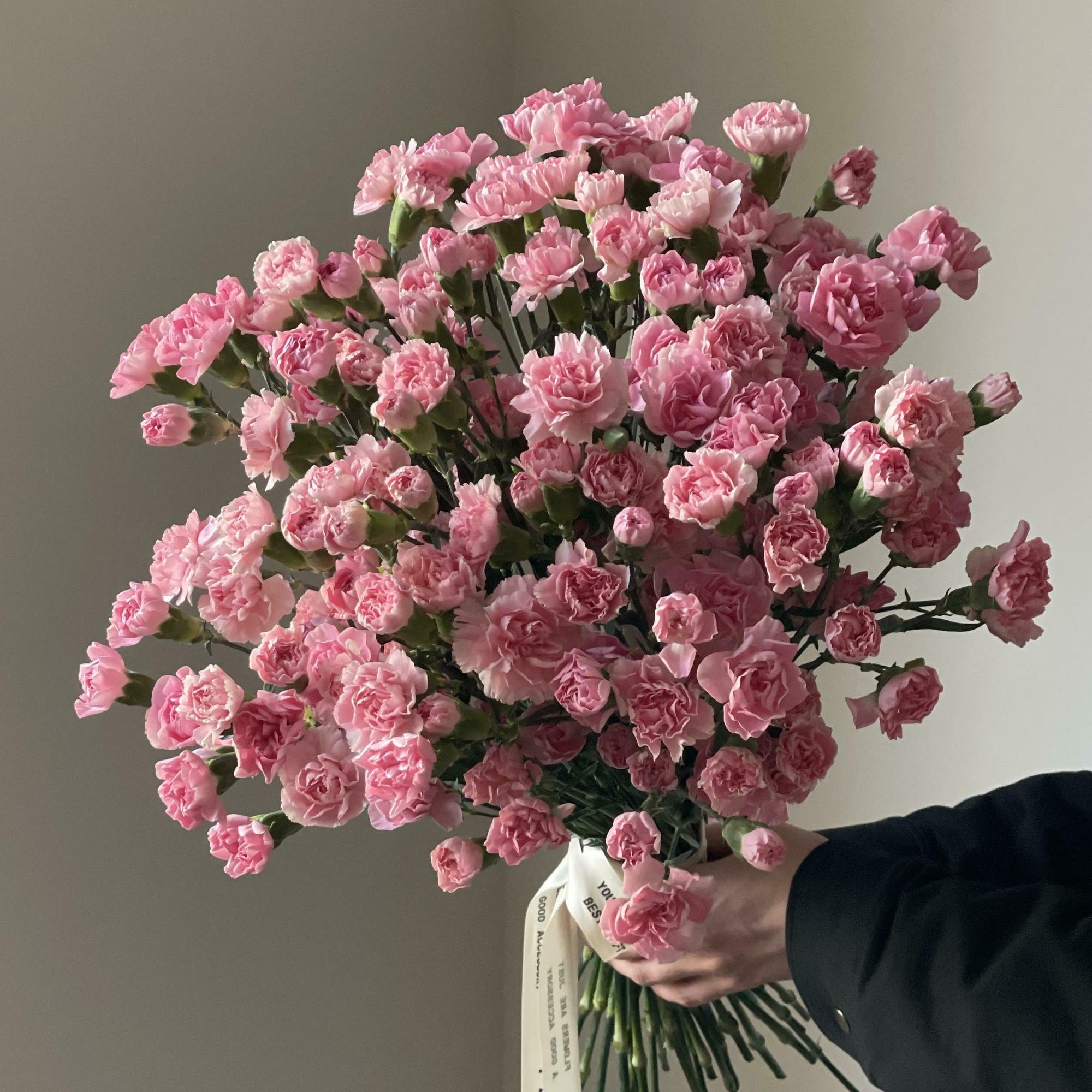 Кустовые розовые диантусы