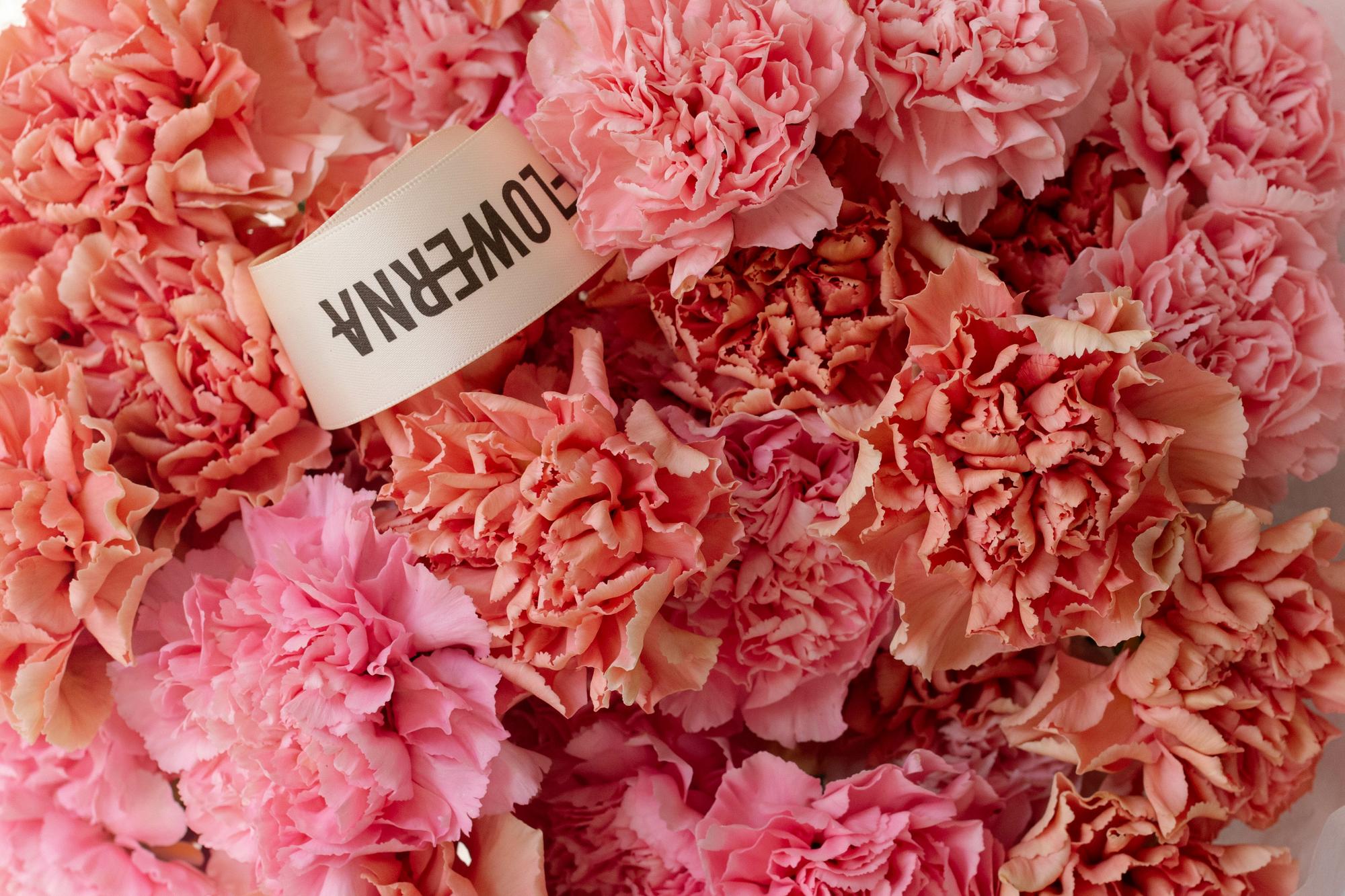 Диантусы карамельный микс