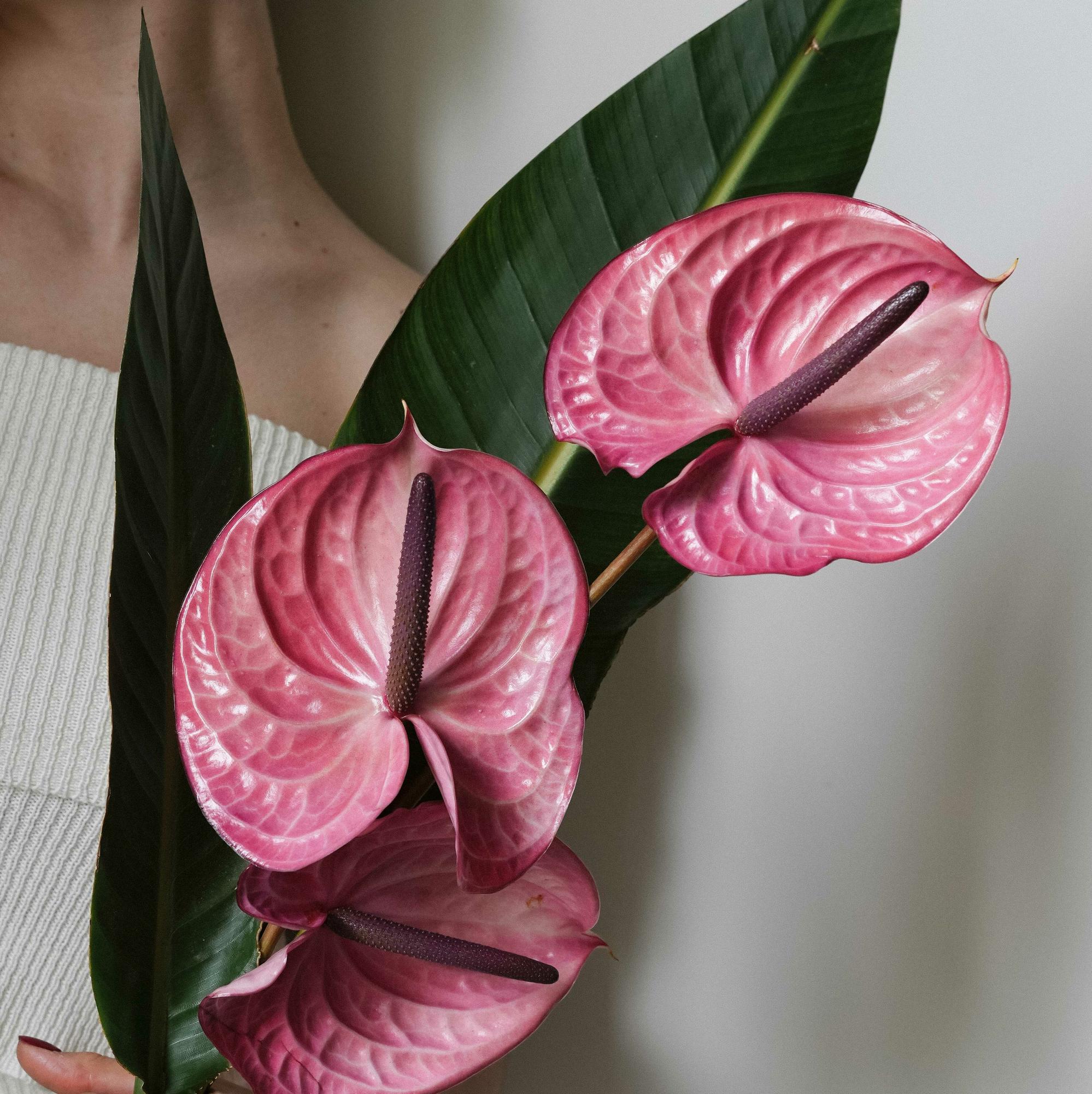 Букет невесты LOV 102