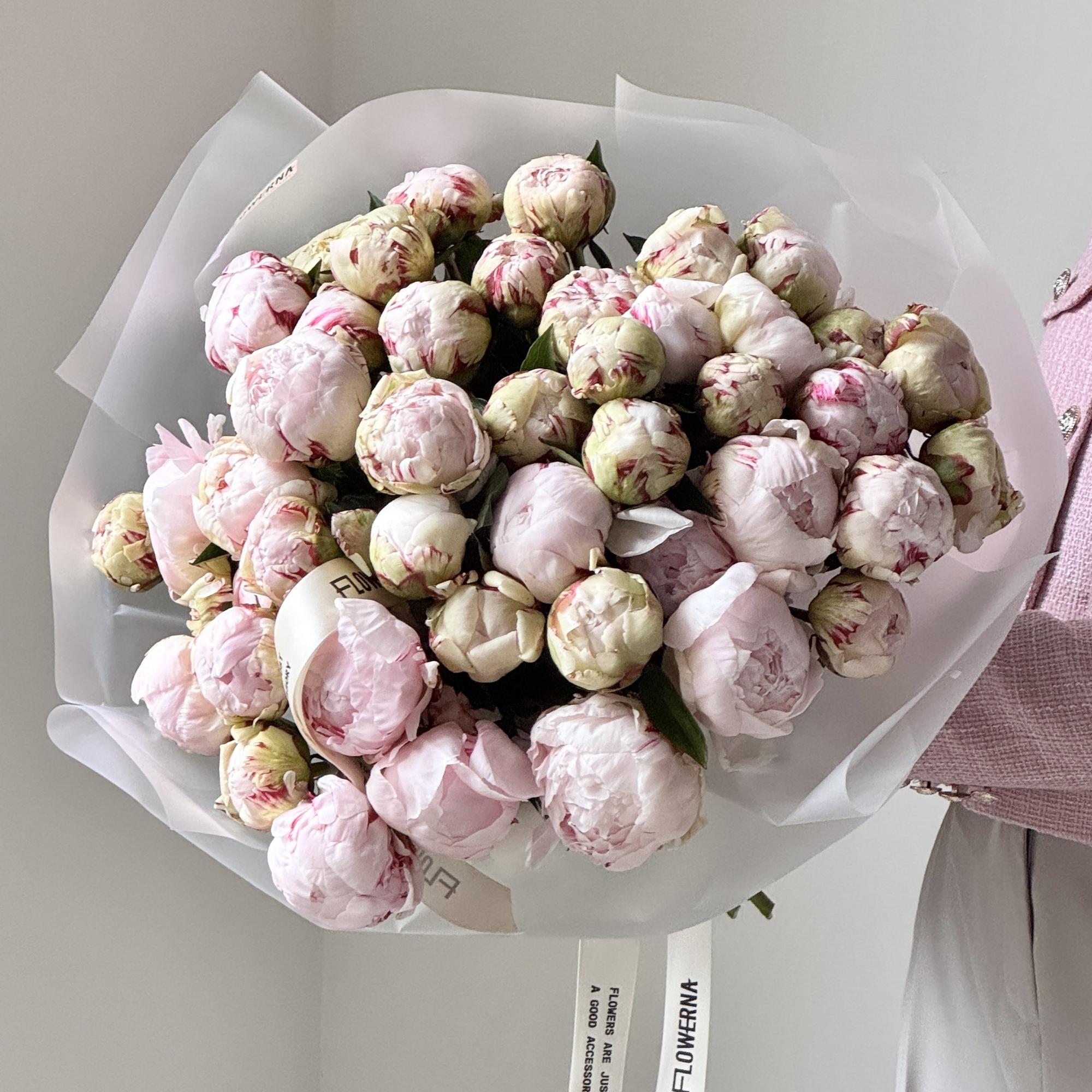 Пионы "Соланж фермерские"