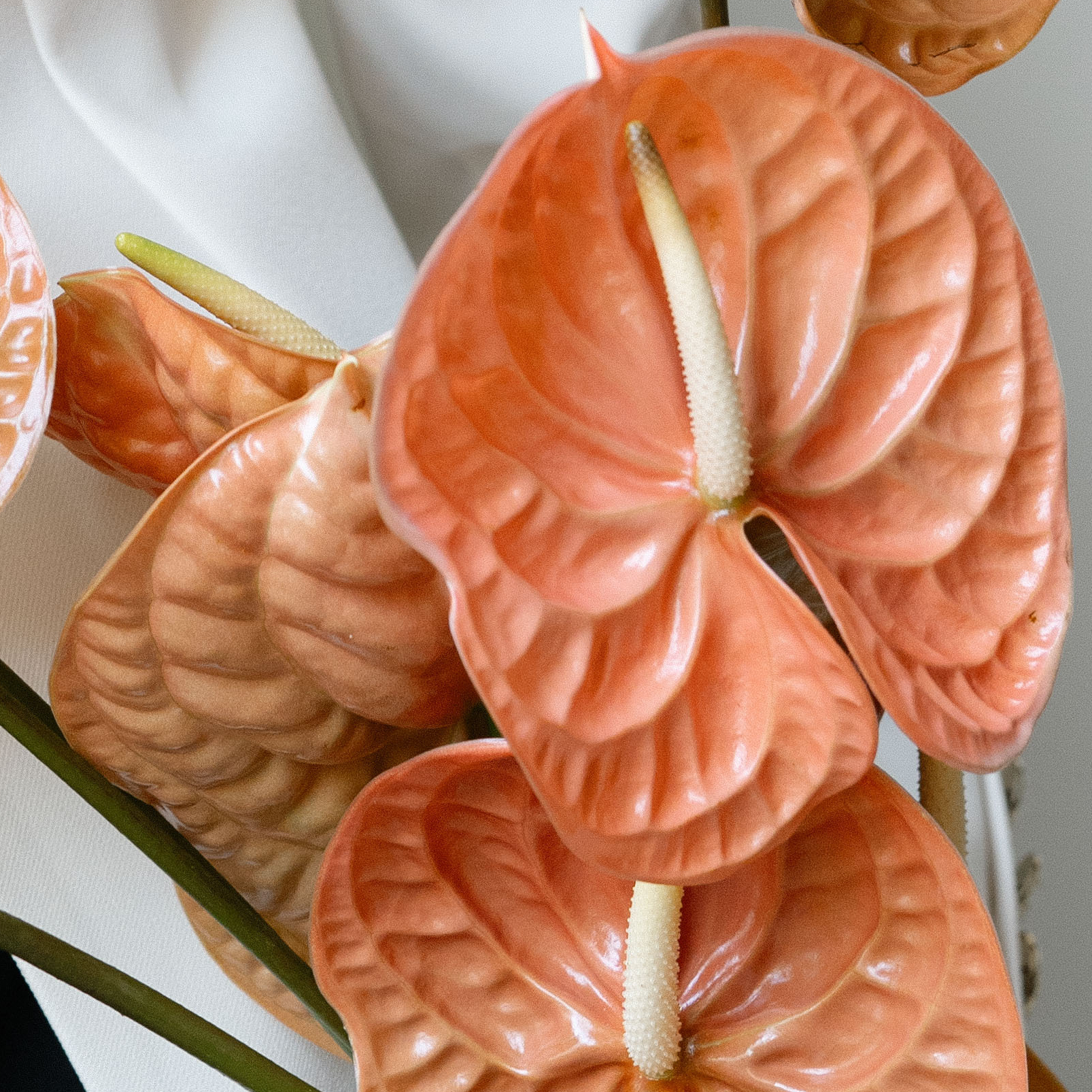 Антуриум "Оранж"